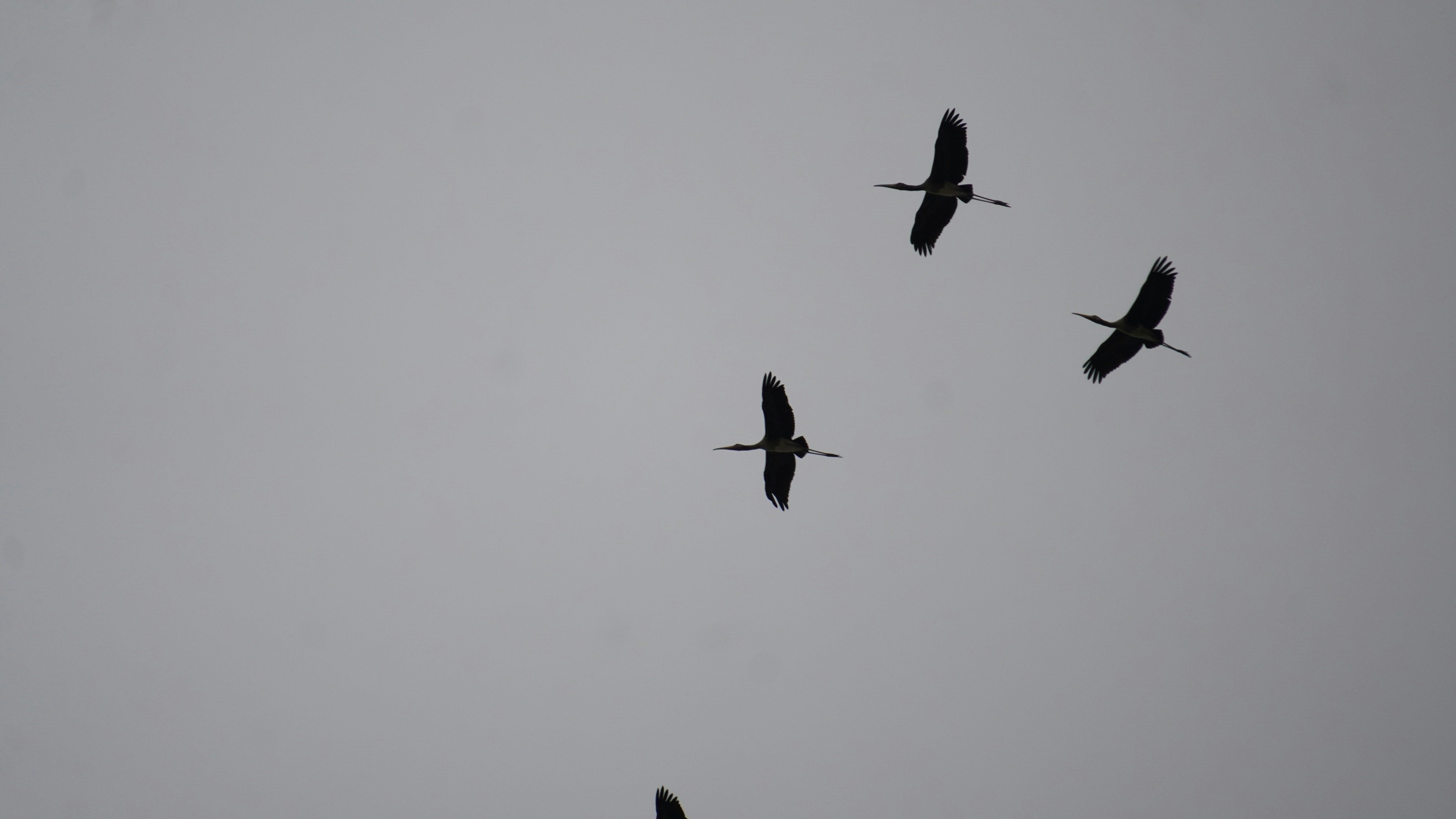 Photo by ridhamsupriyanto