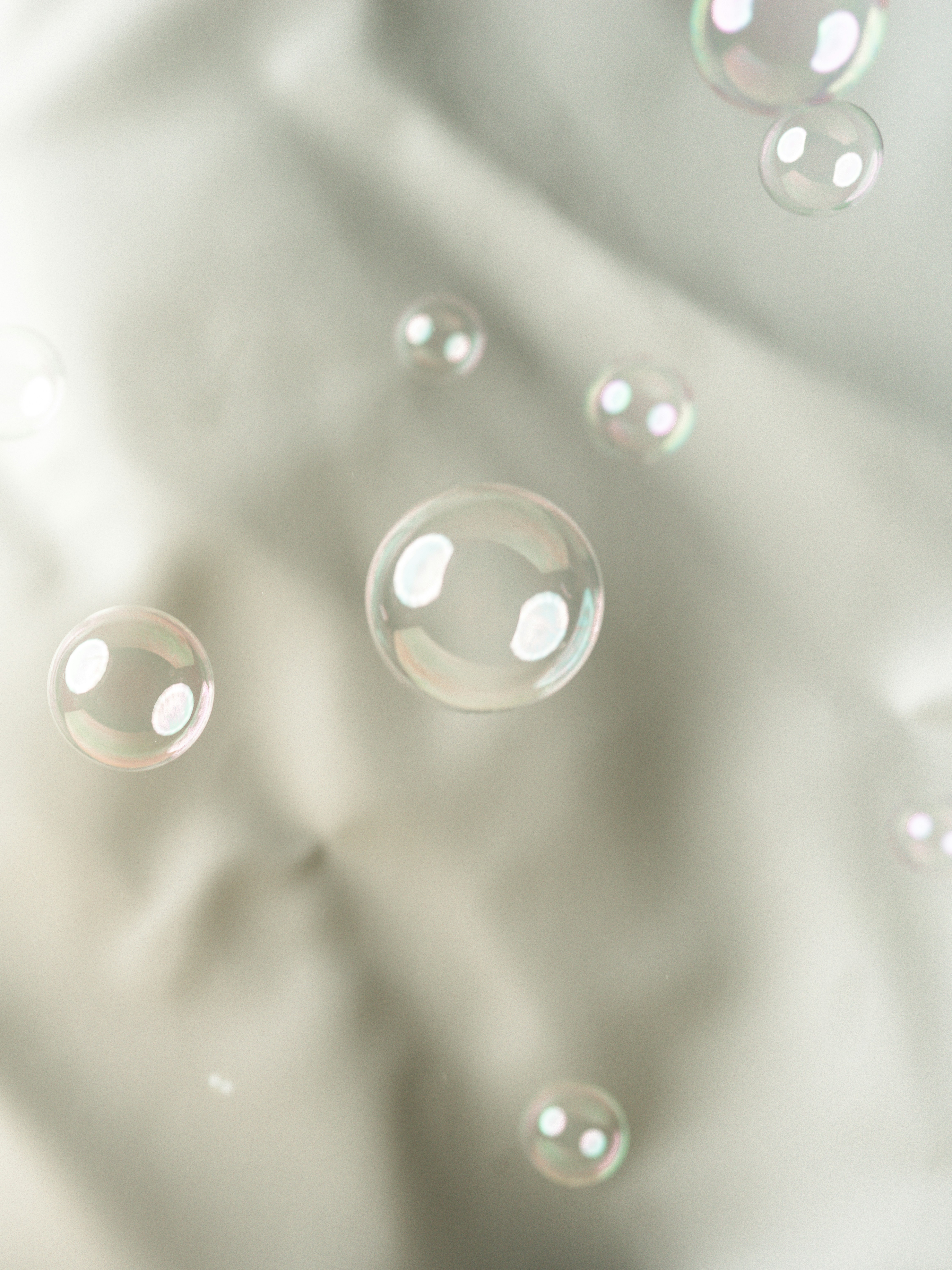 Odourless / freshness concept