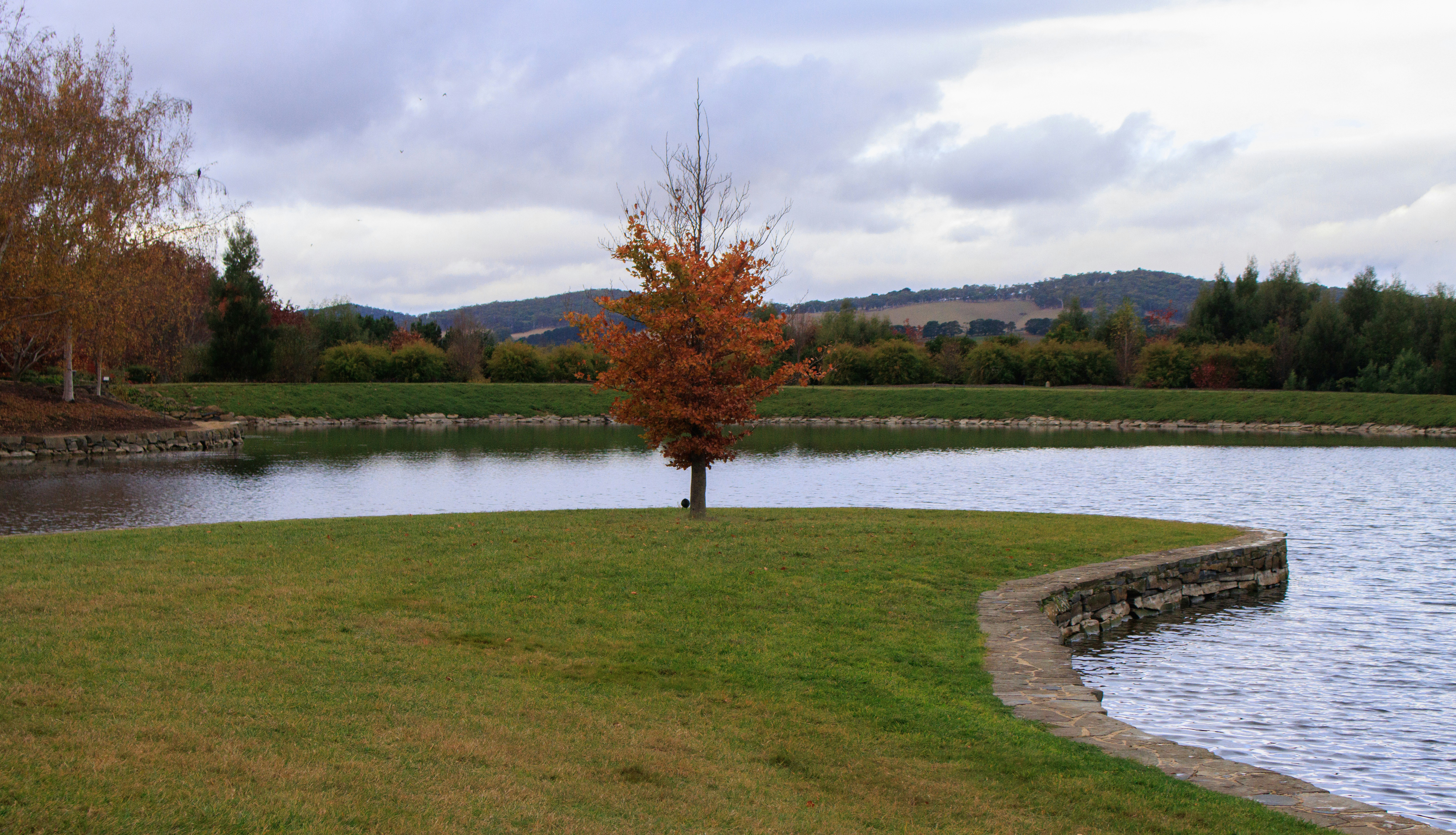 Leider Park