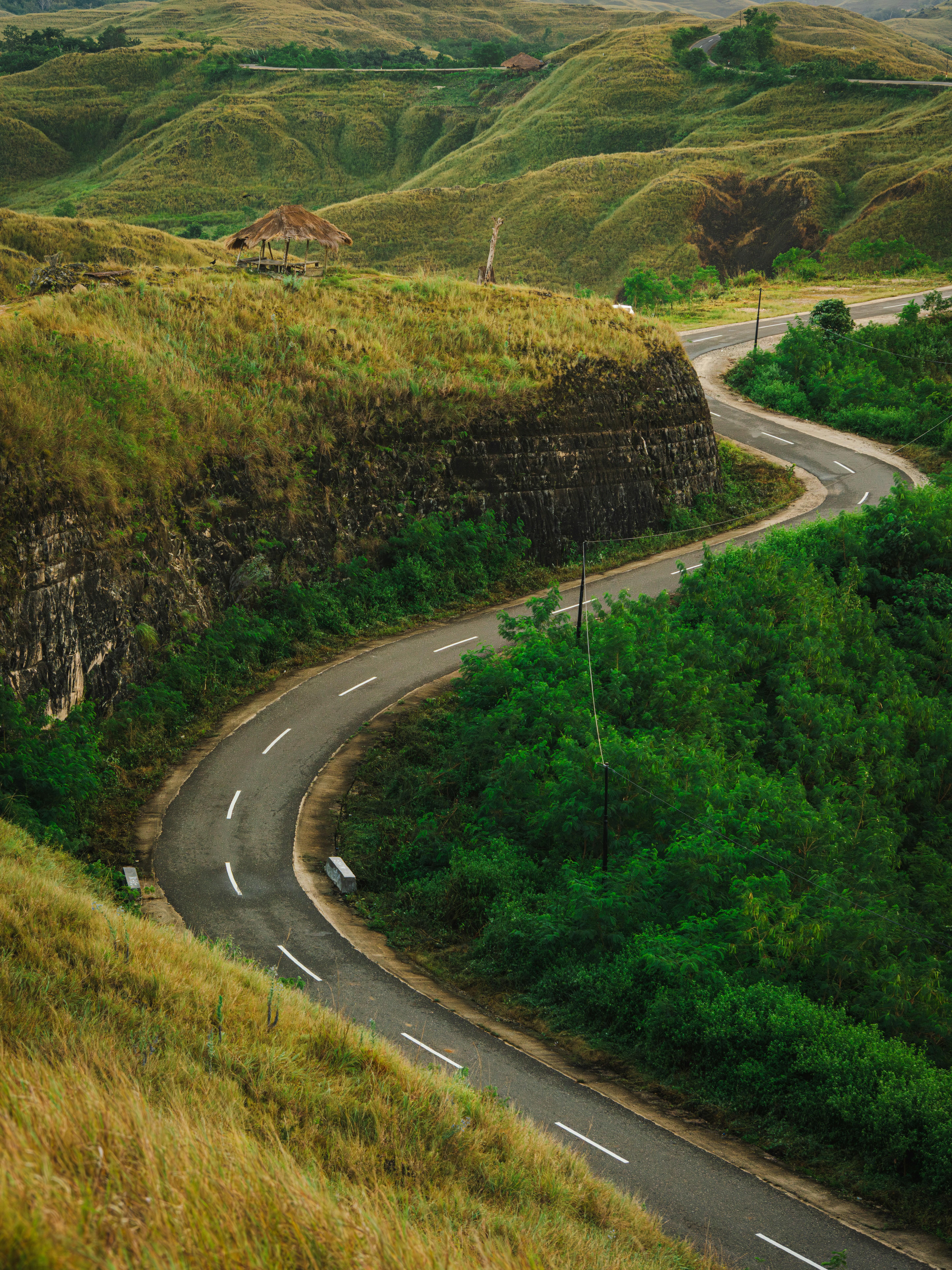 A winding road carves through lush, green hills.