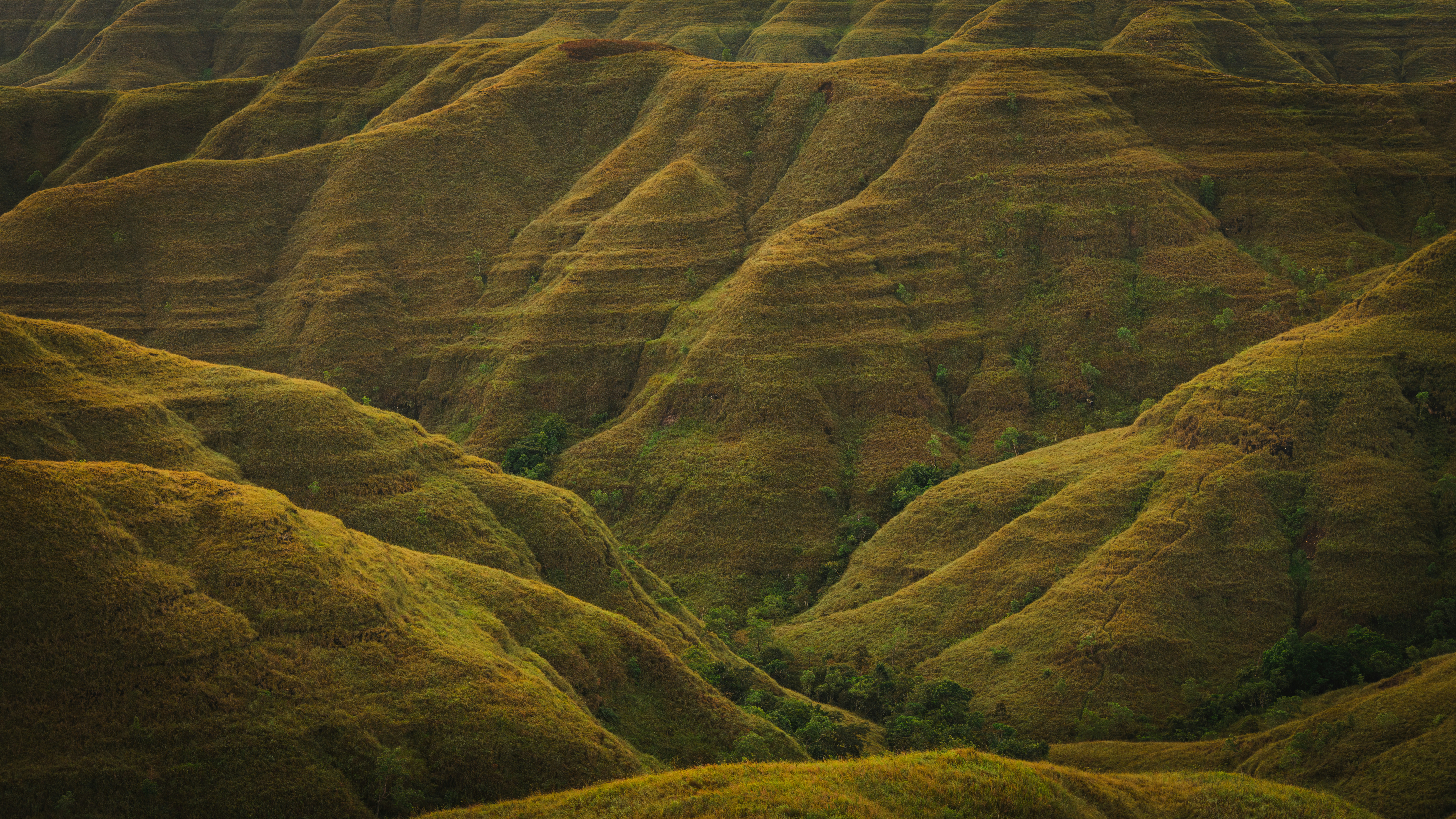 Underneath The Act Of Marketing Your Classic Car Exists A Variety Of Benefits Related To A Vintage Car Consignment Firm-- Discover Exactly How They Can Enhance Your Experience