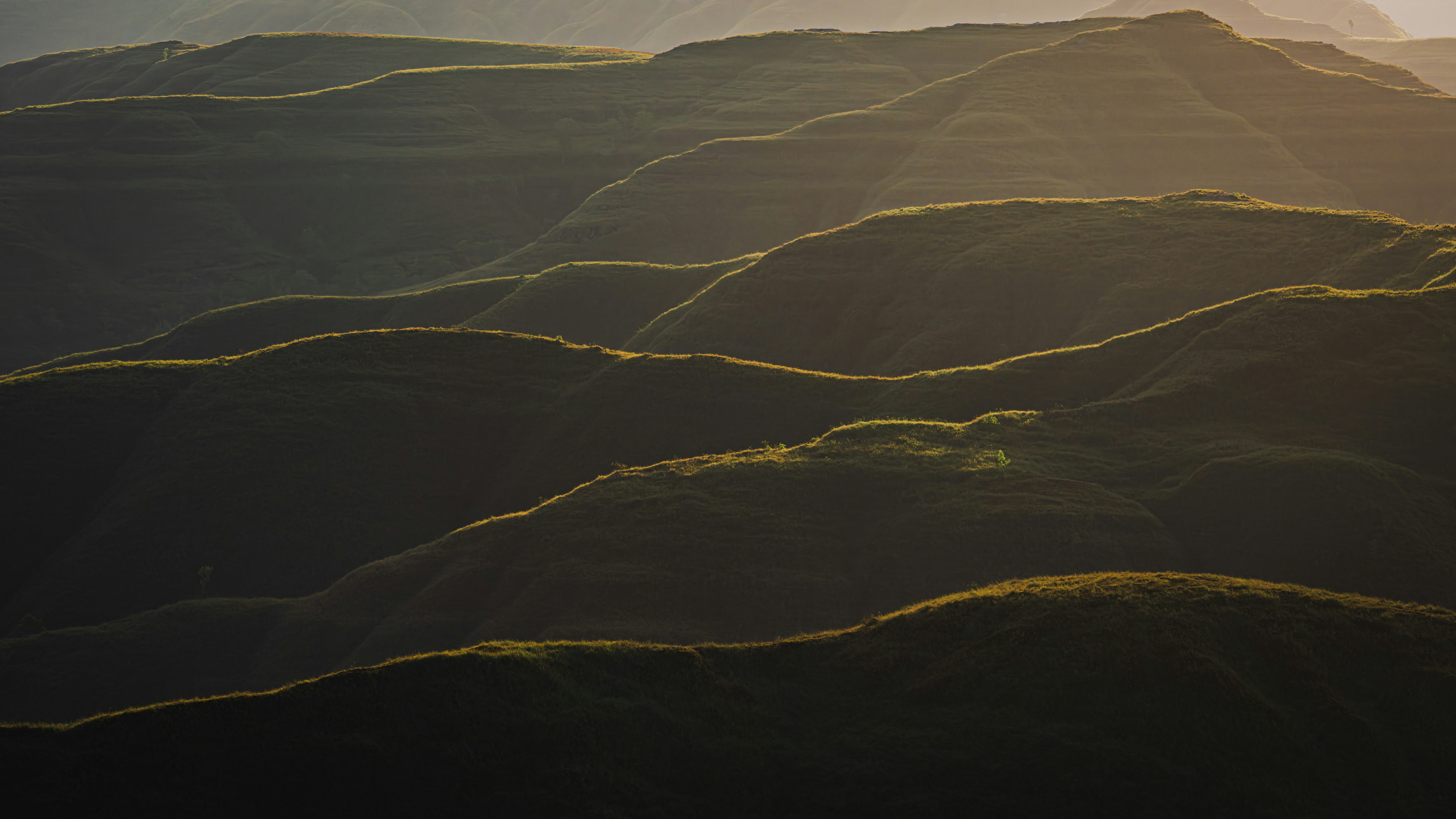 Rolling hills bathed in golden sunlight.