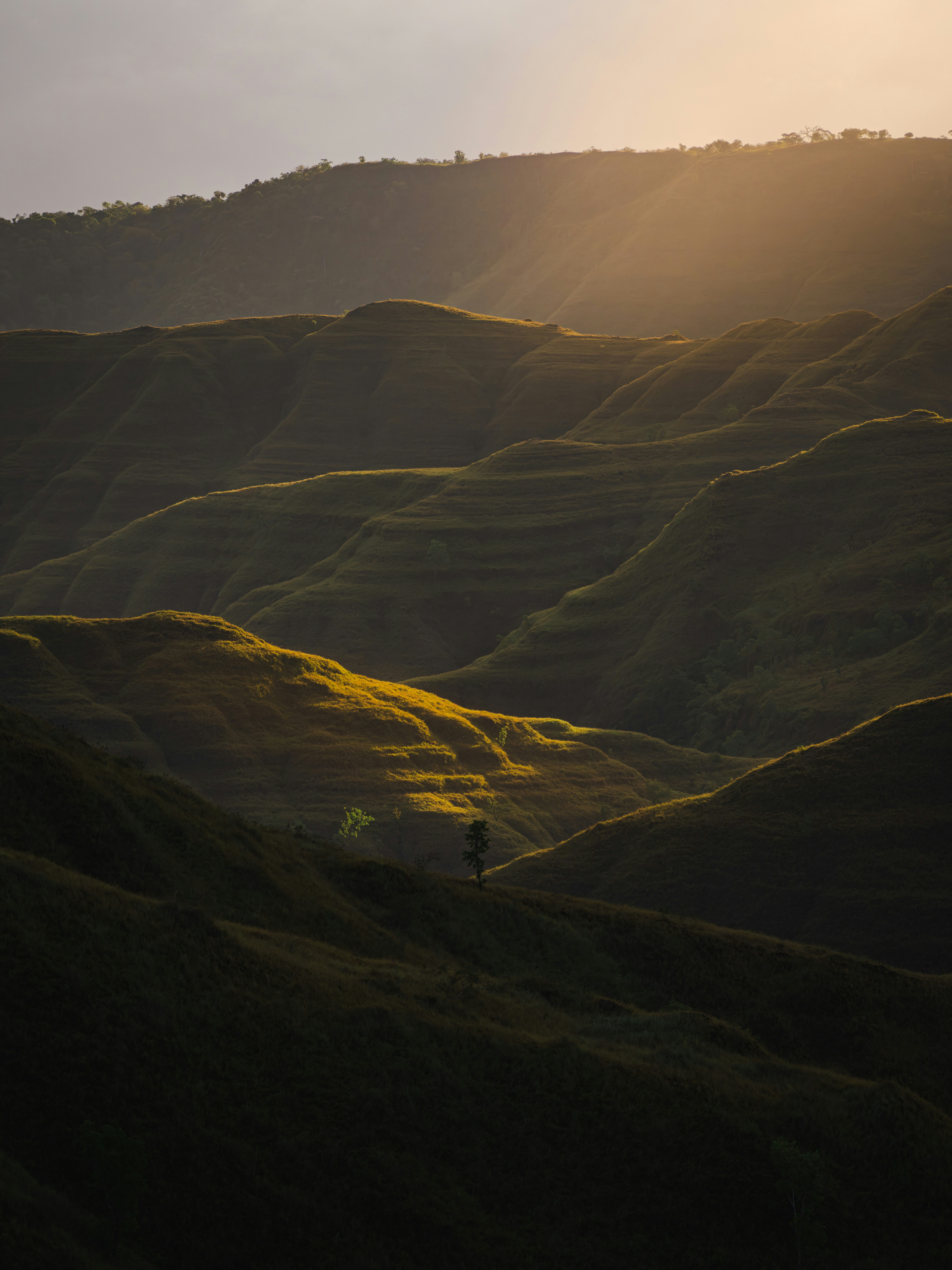 Sunlight bathes the rolling hills in gold.