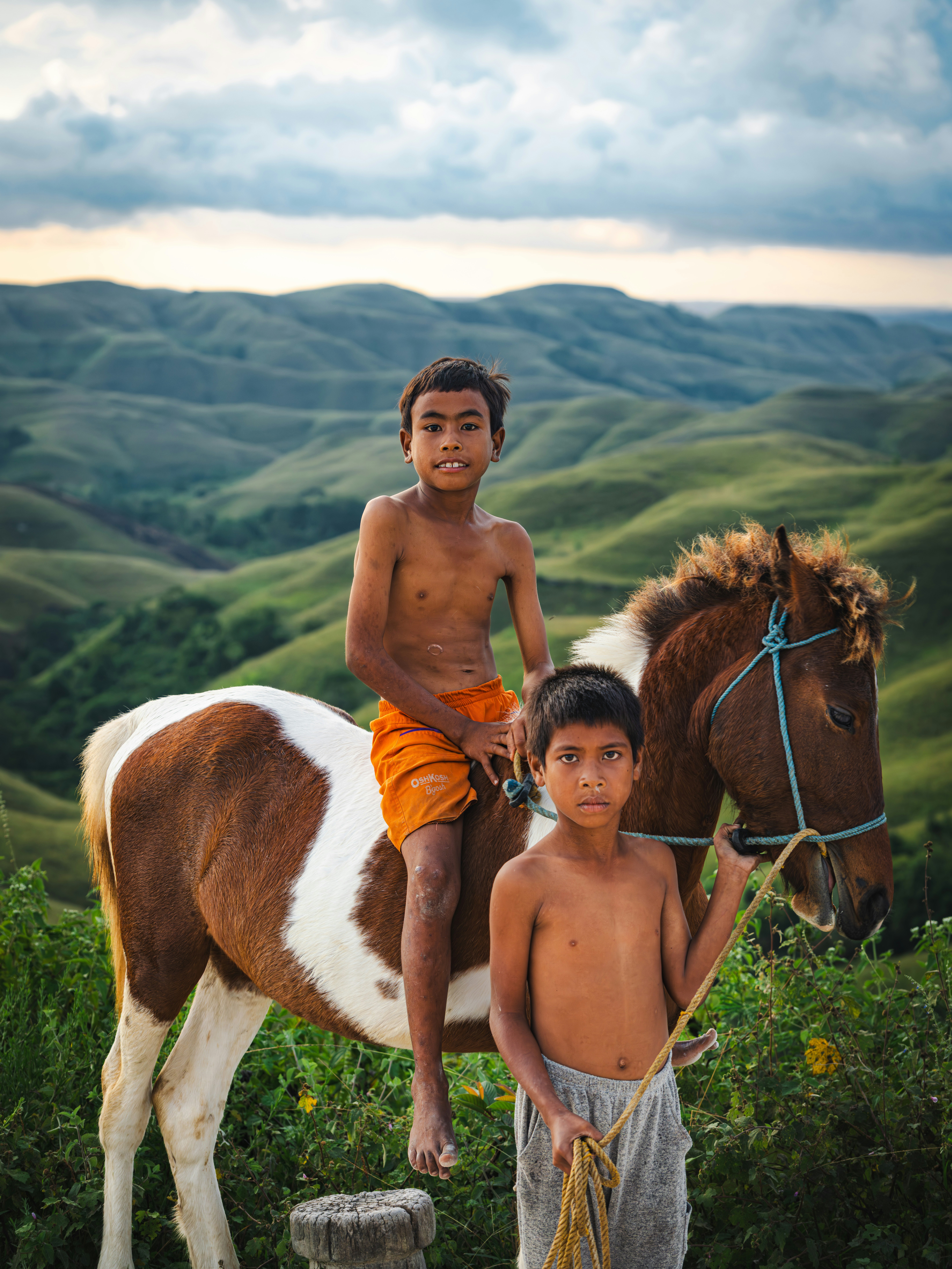 Two boys pose with a horse in a scenic landscape.