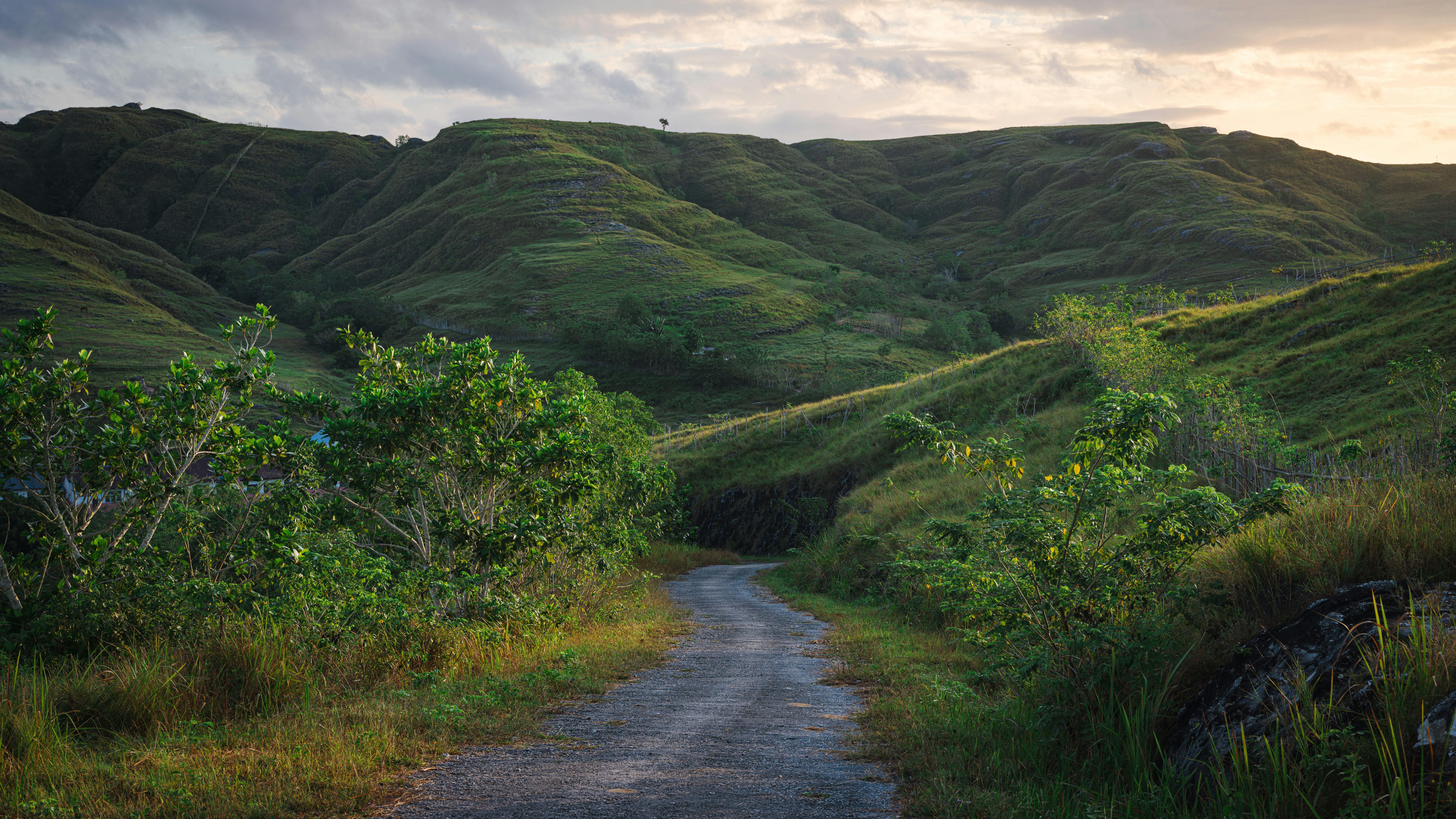 A road winds through lush, green hills.