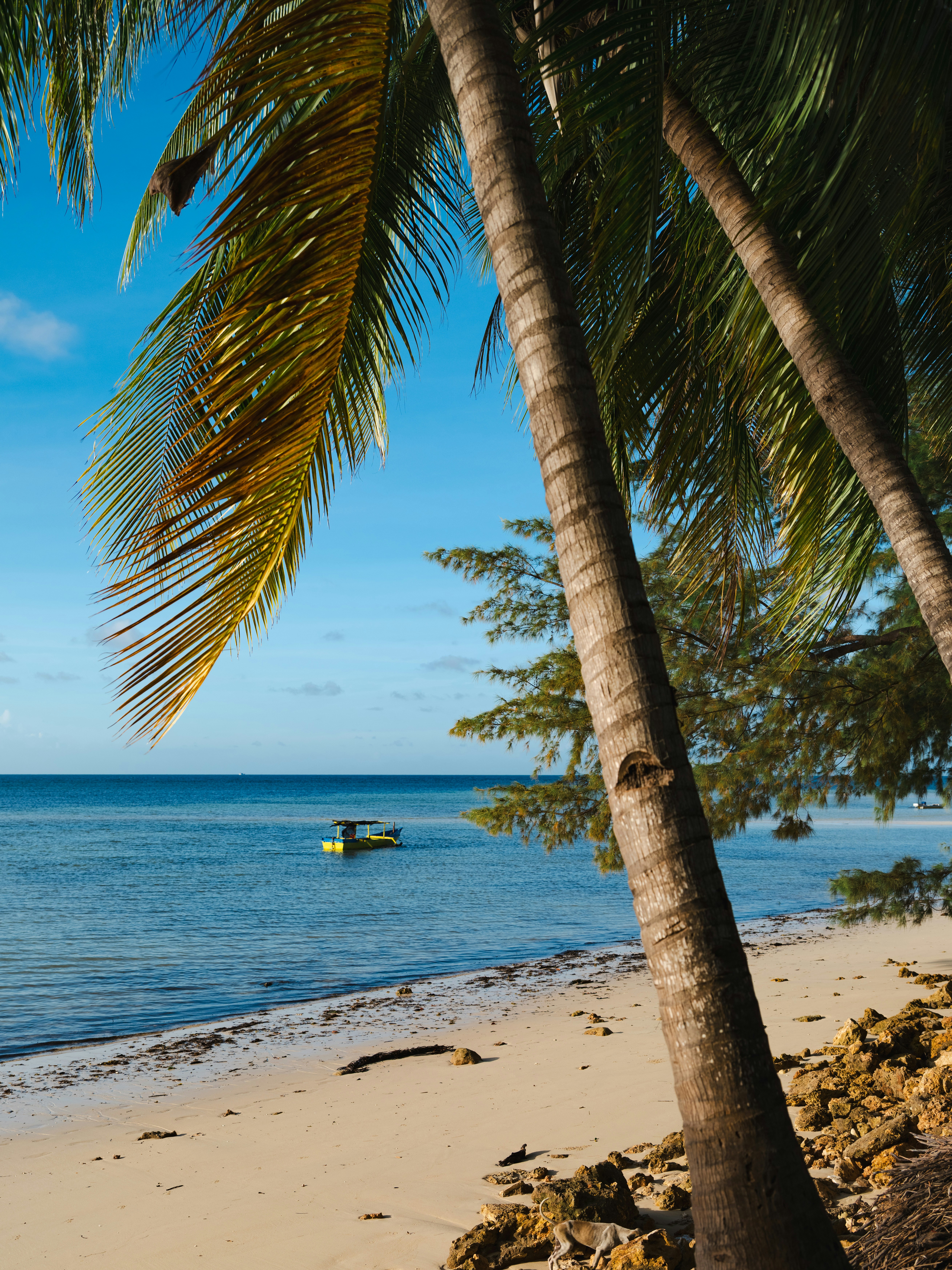 Photo by fabhimantra