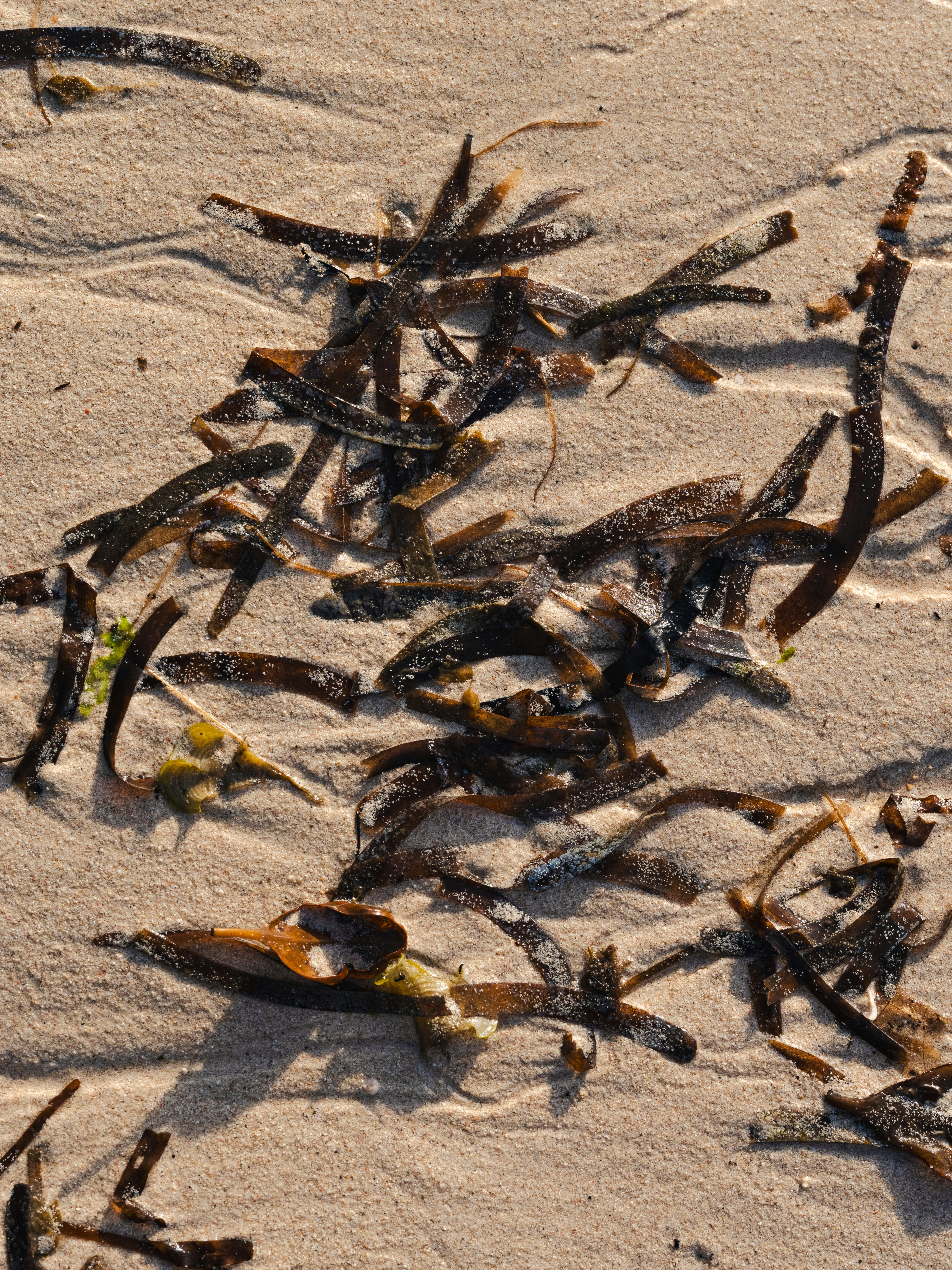 Photo by fabhimantra