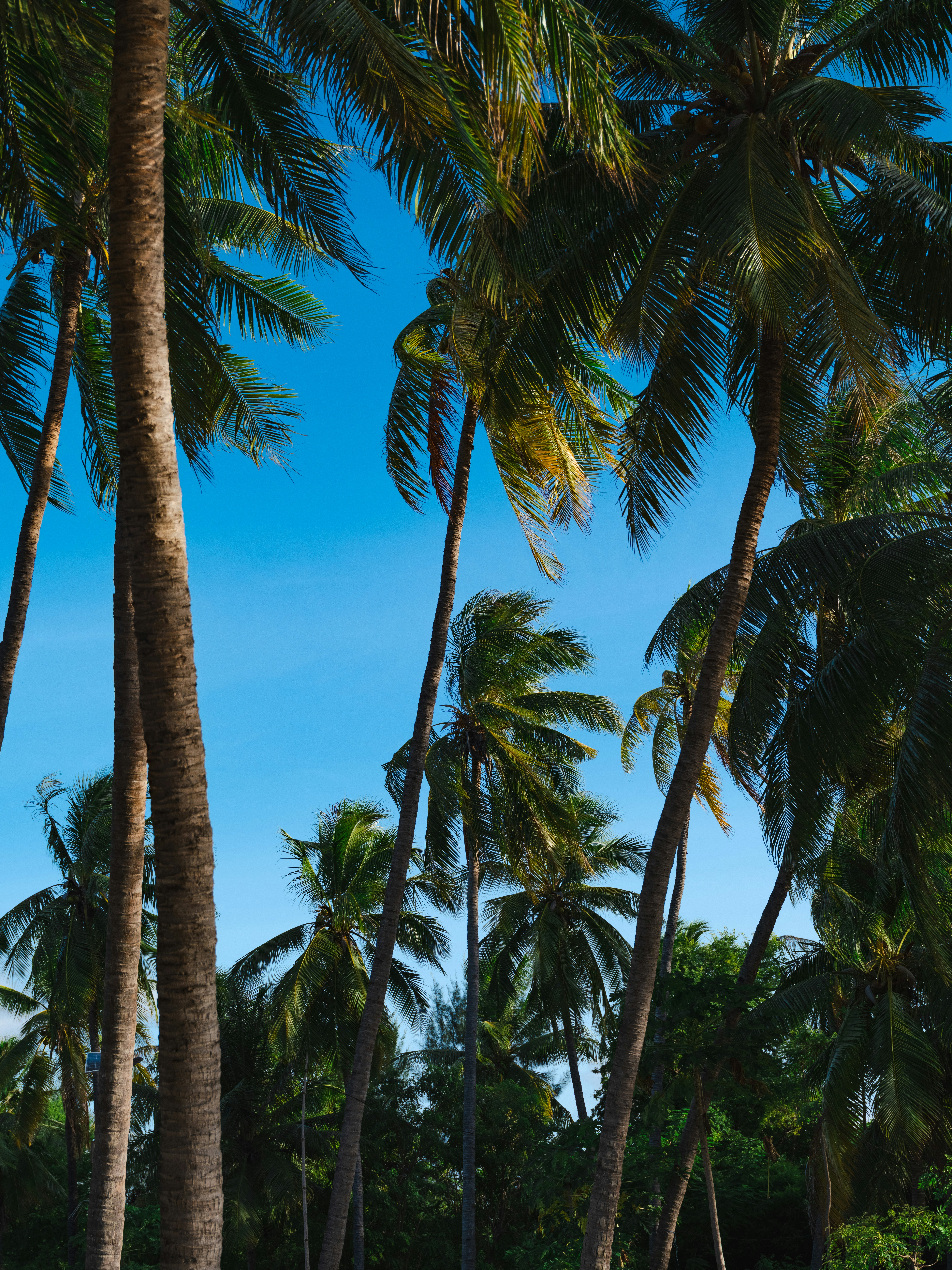 Photo by fabhimantra