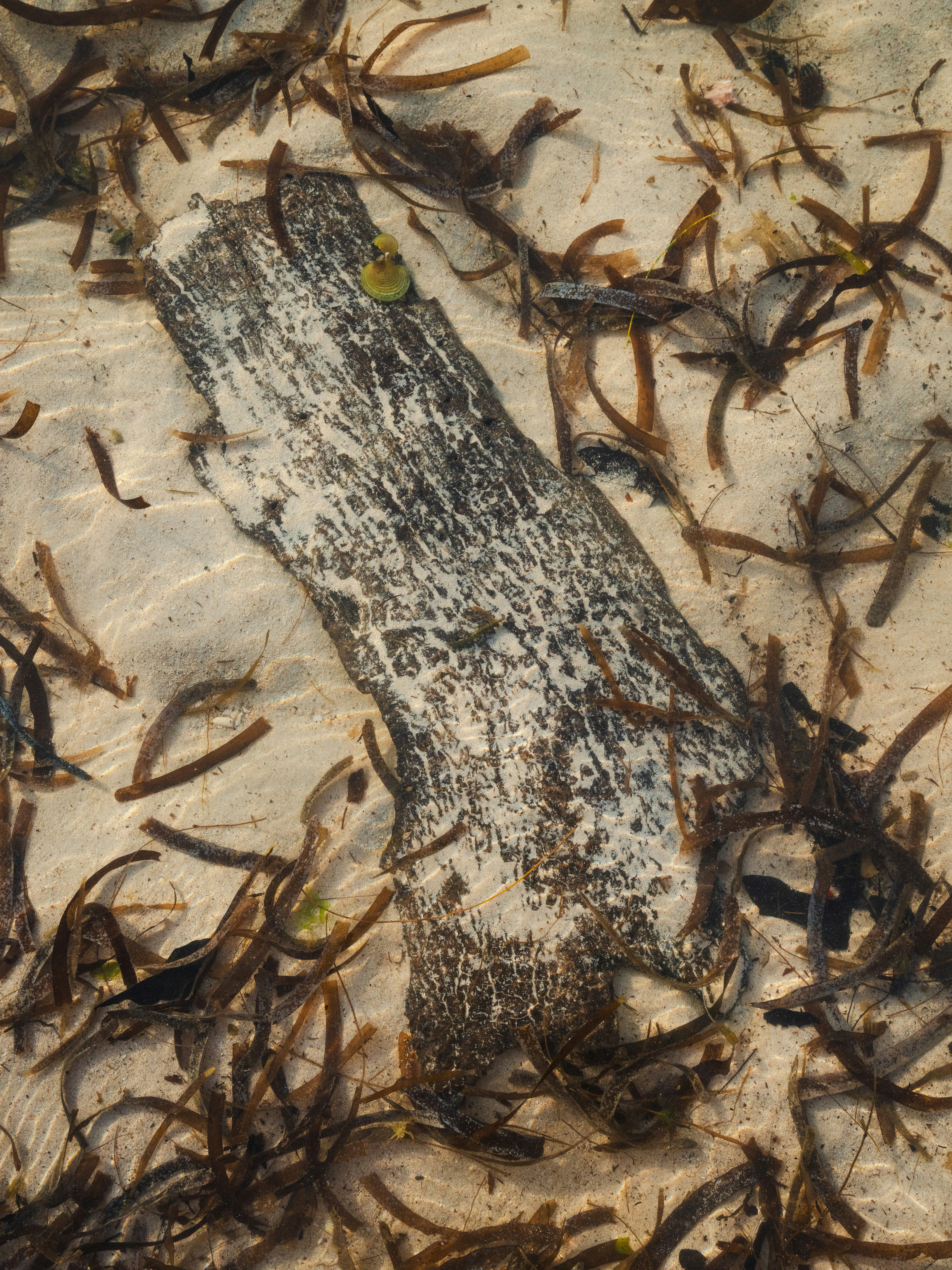 Photo by fabhimantra