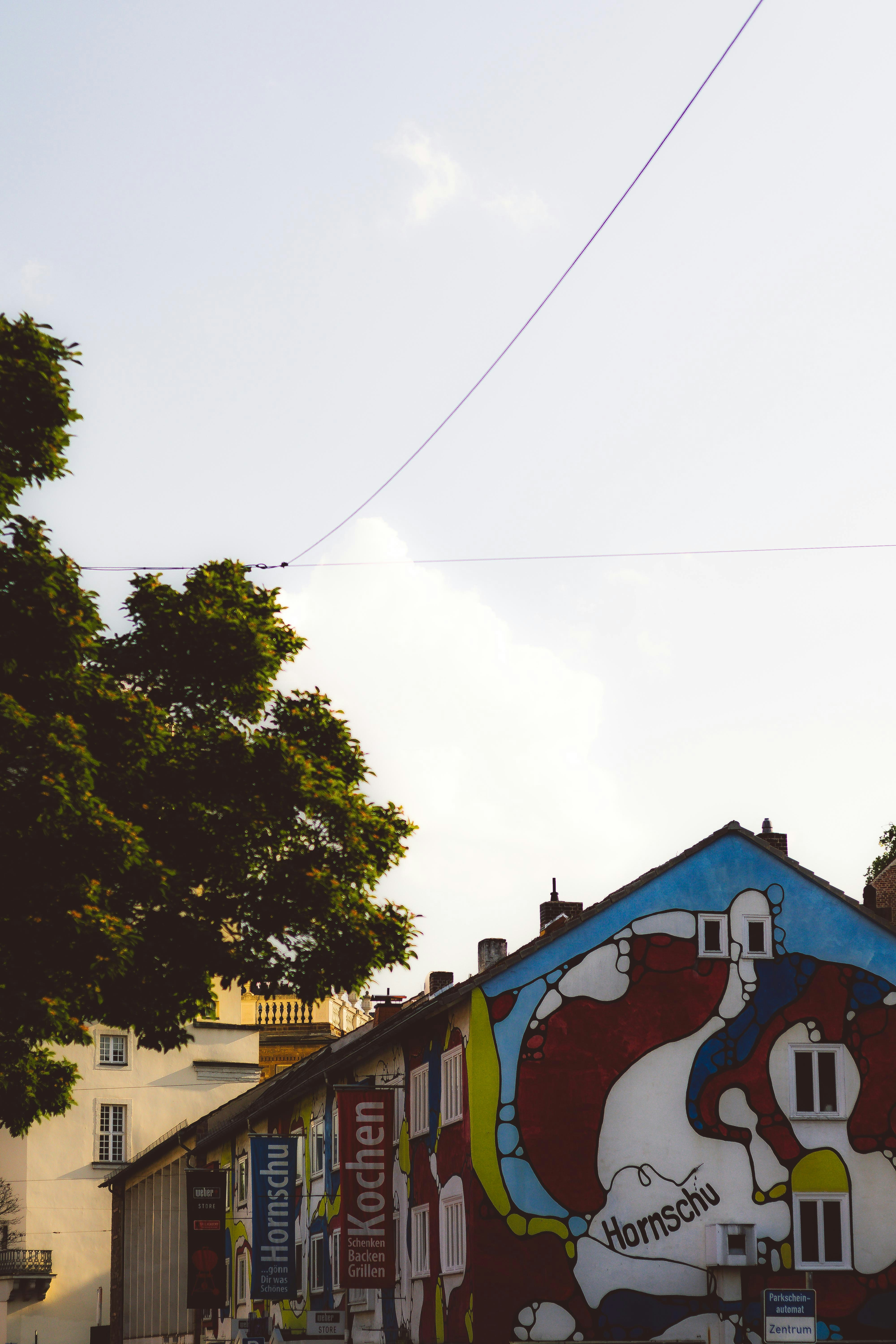 Photo by arlindphotography