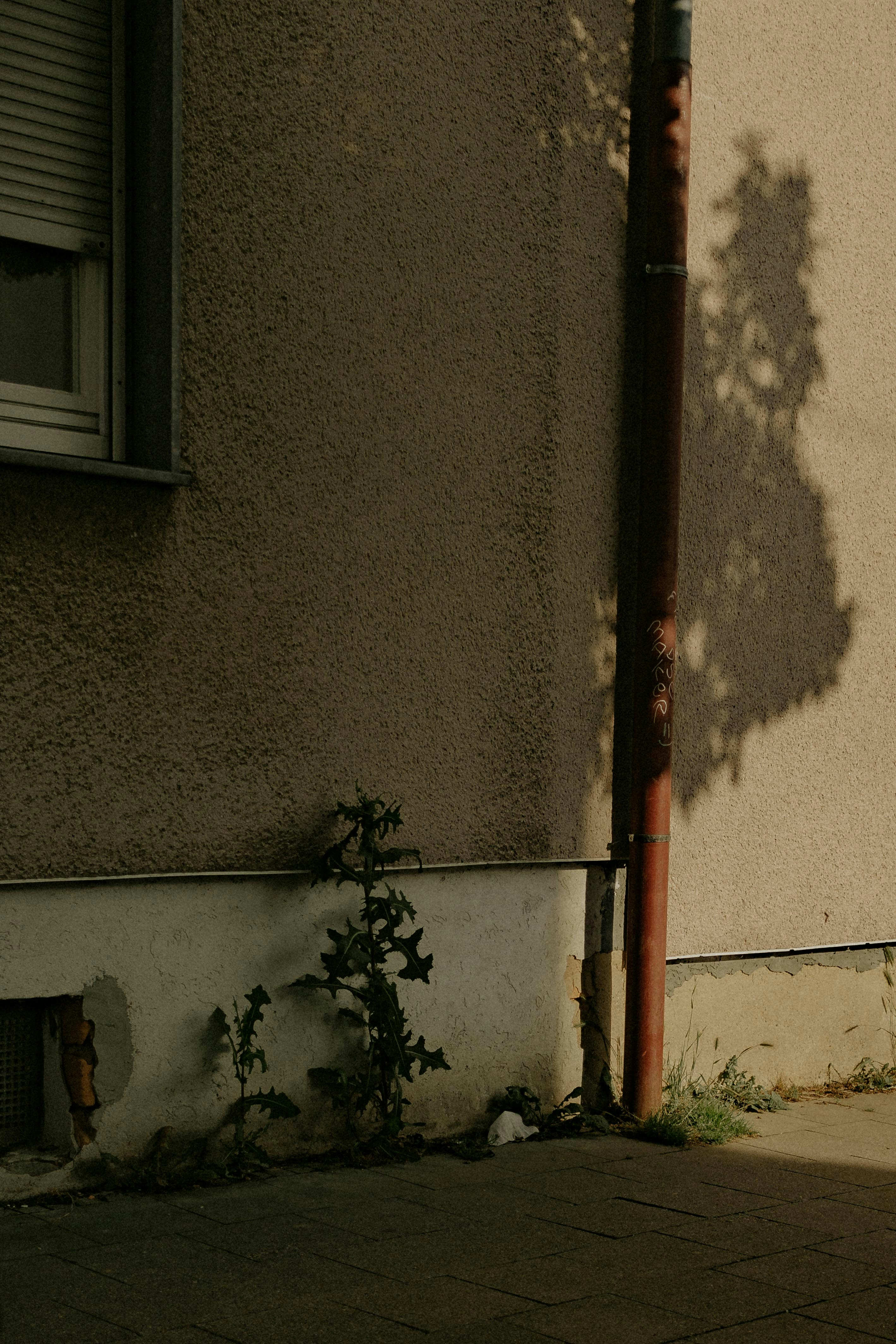 Photo by arlindphotography