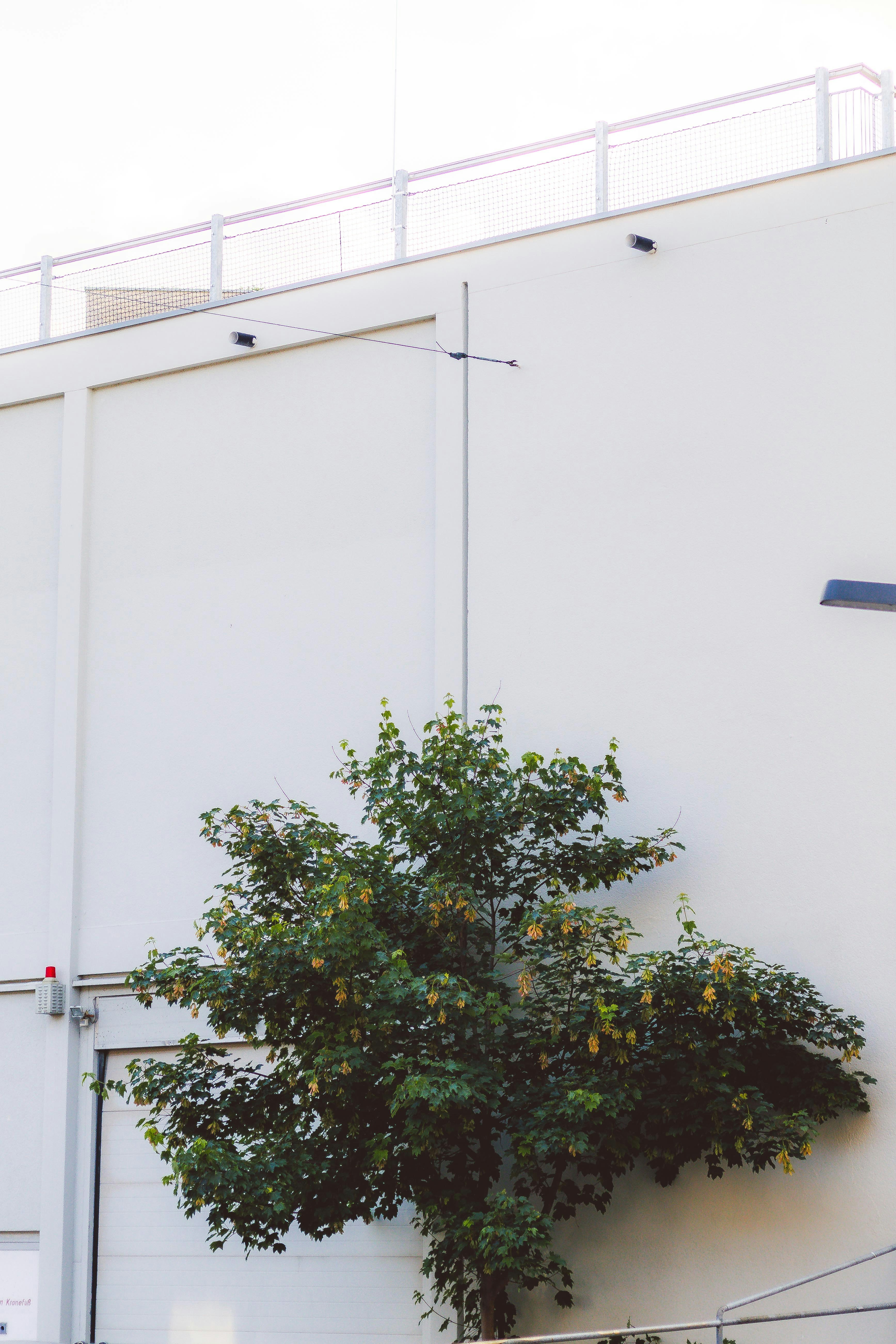 Photo by arlindphotography