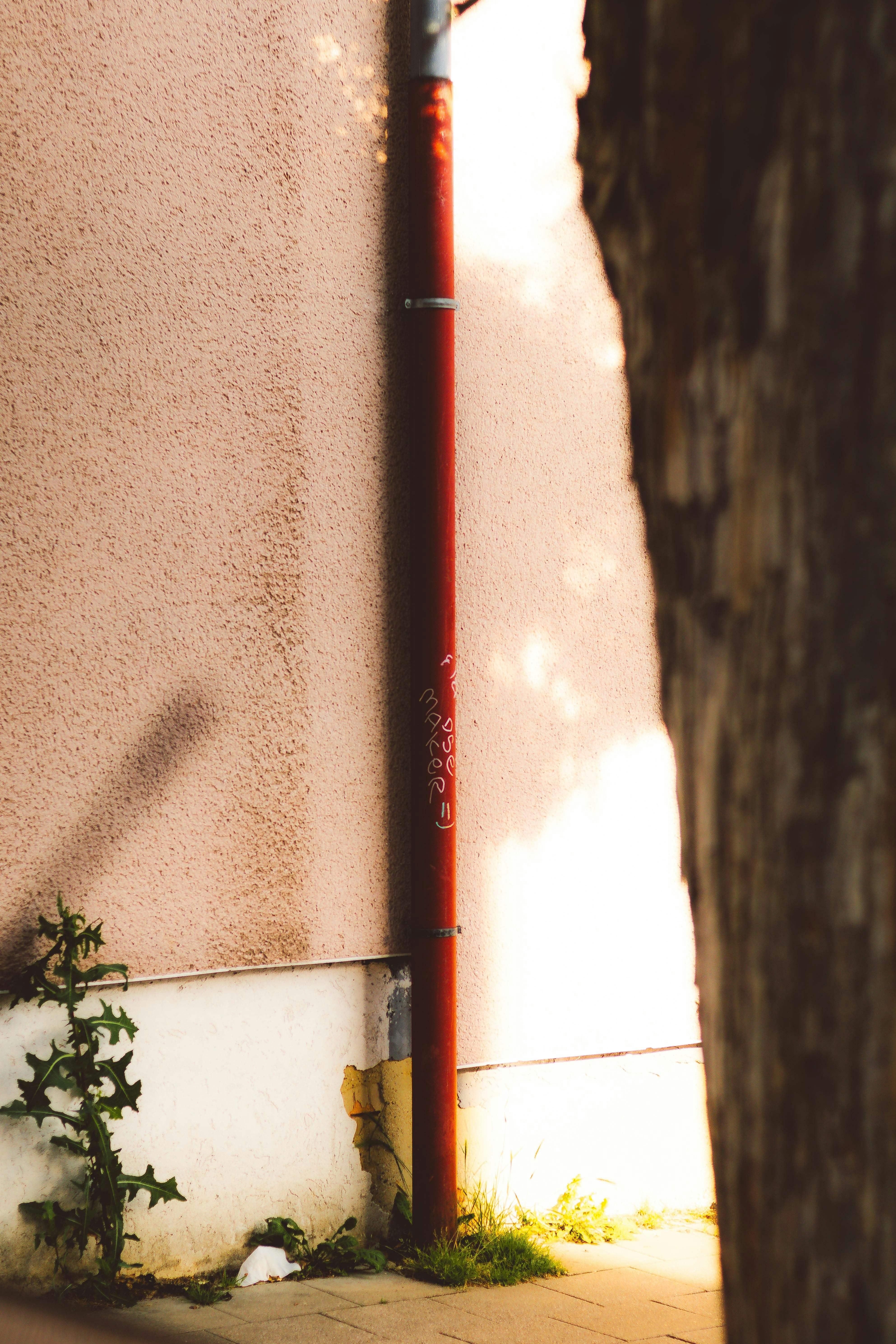 Photo by arlindphotography