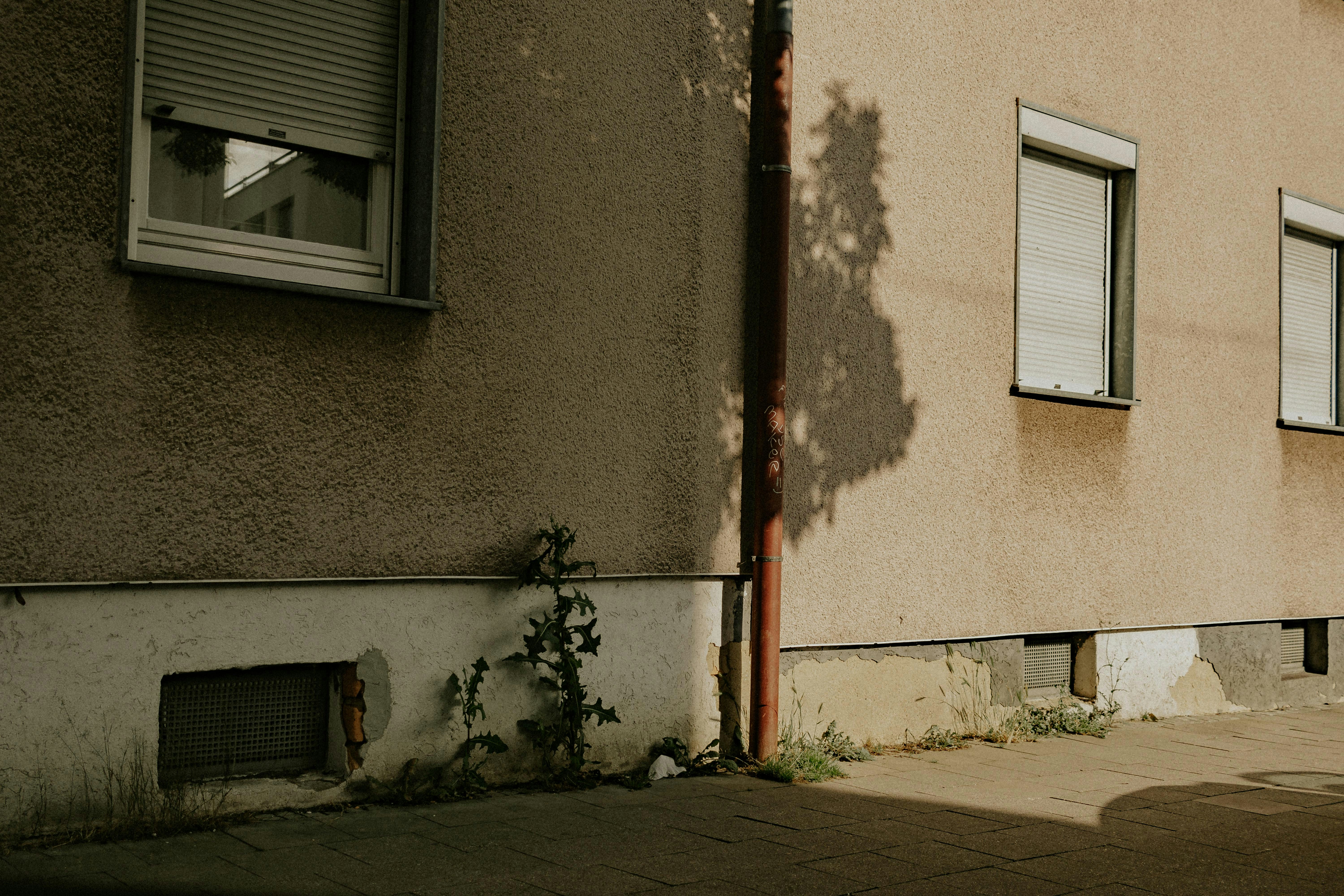 Photo by arlindphotography