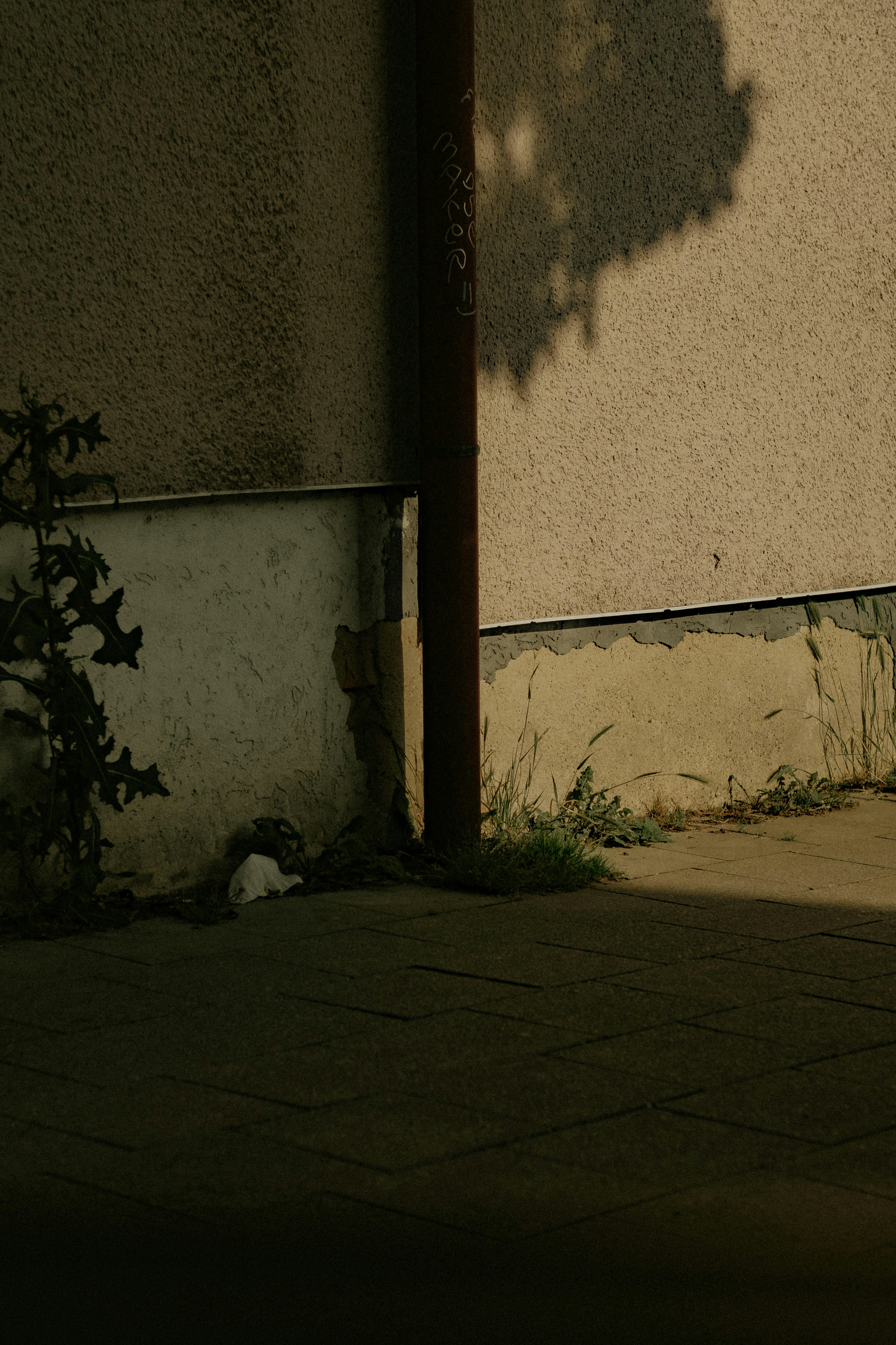 Photo by arlindphotography