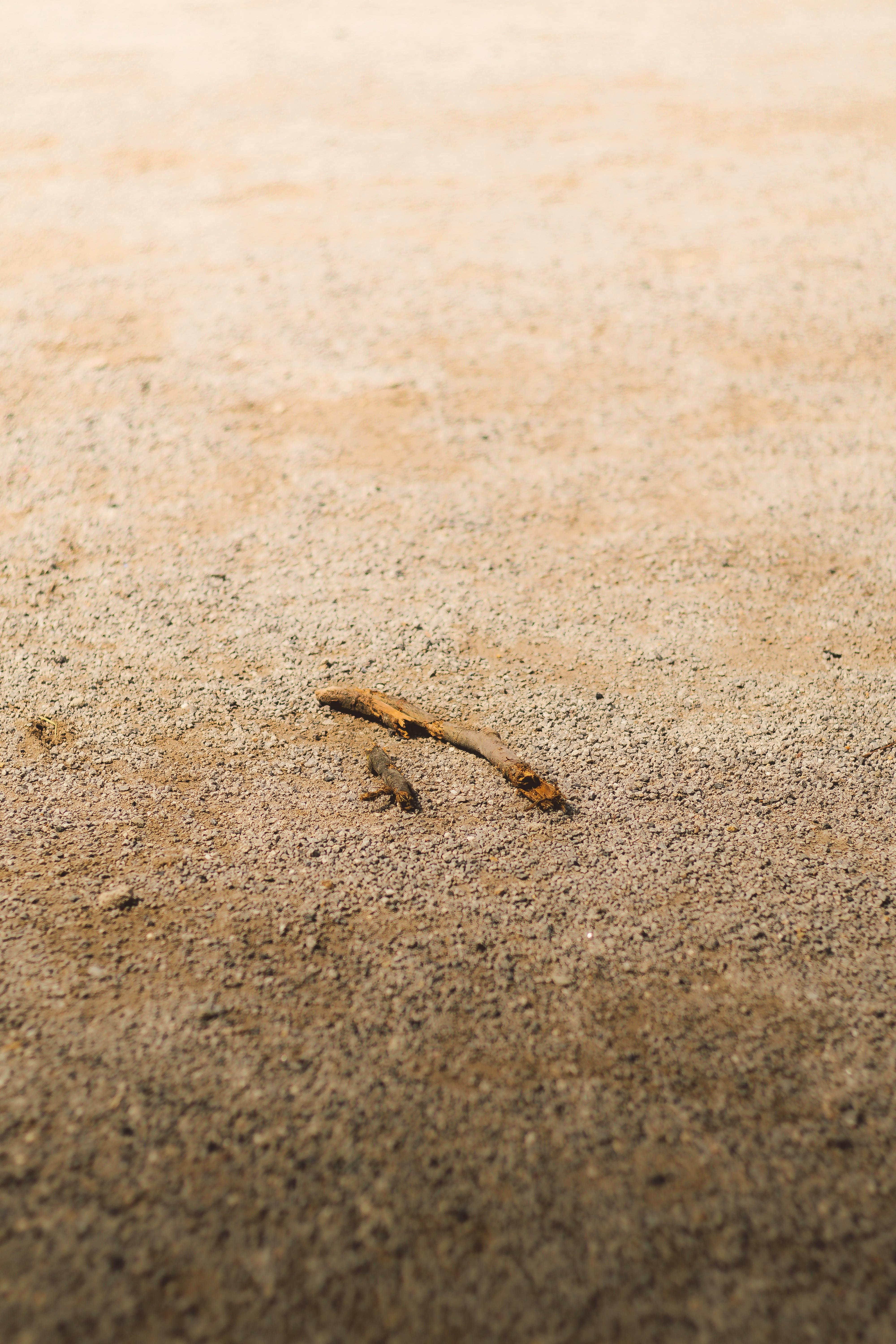 Photo by arlindphotography