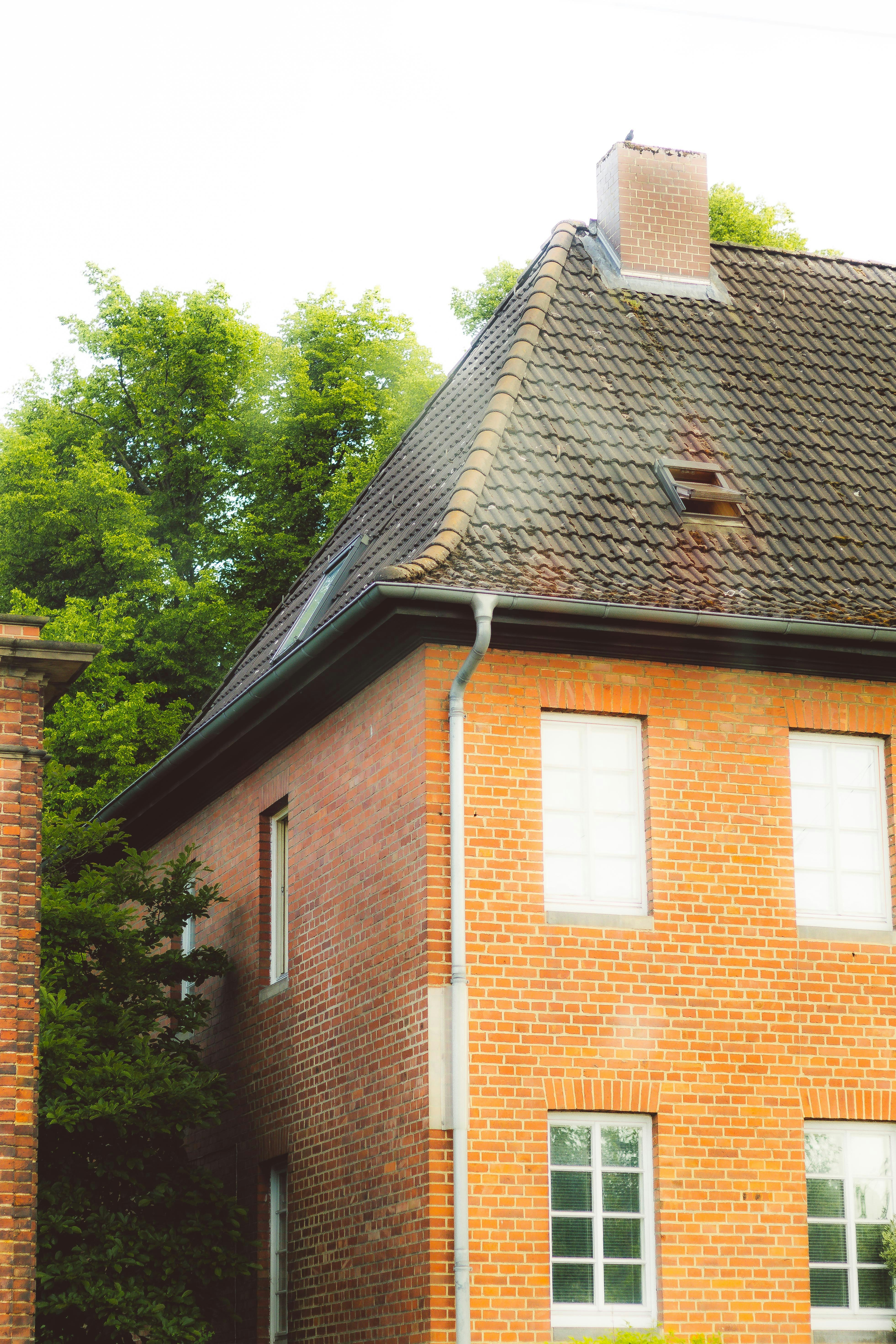 Photo by arlindphotography