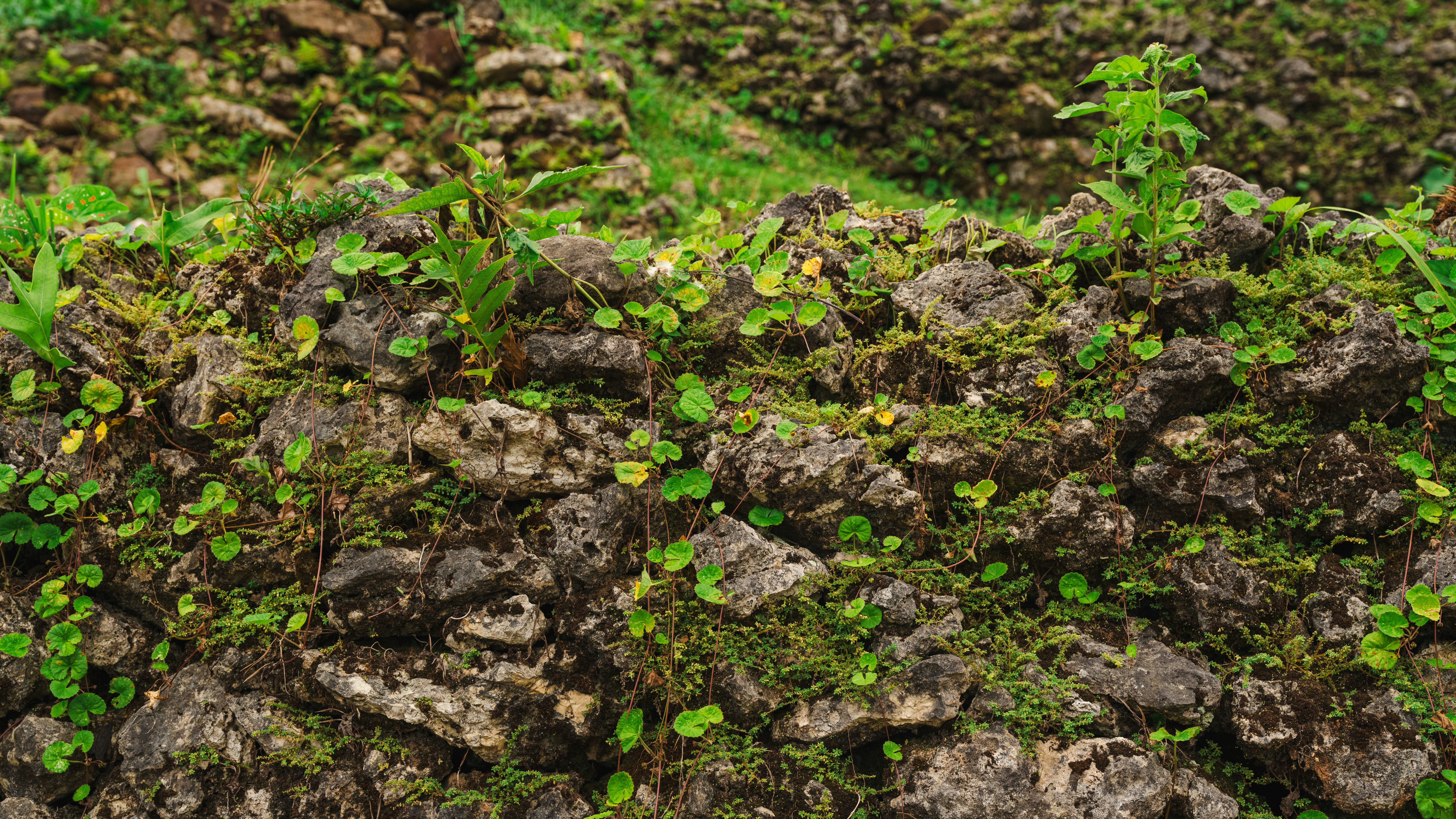 Photo by fabhimantra