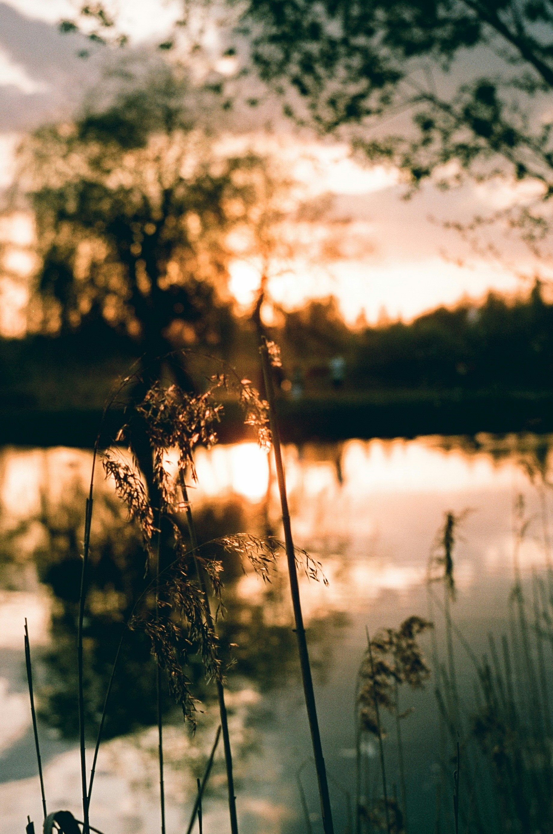 Photo by manuallensfan