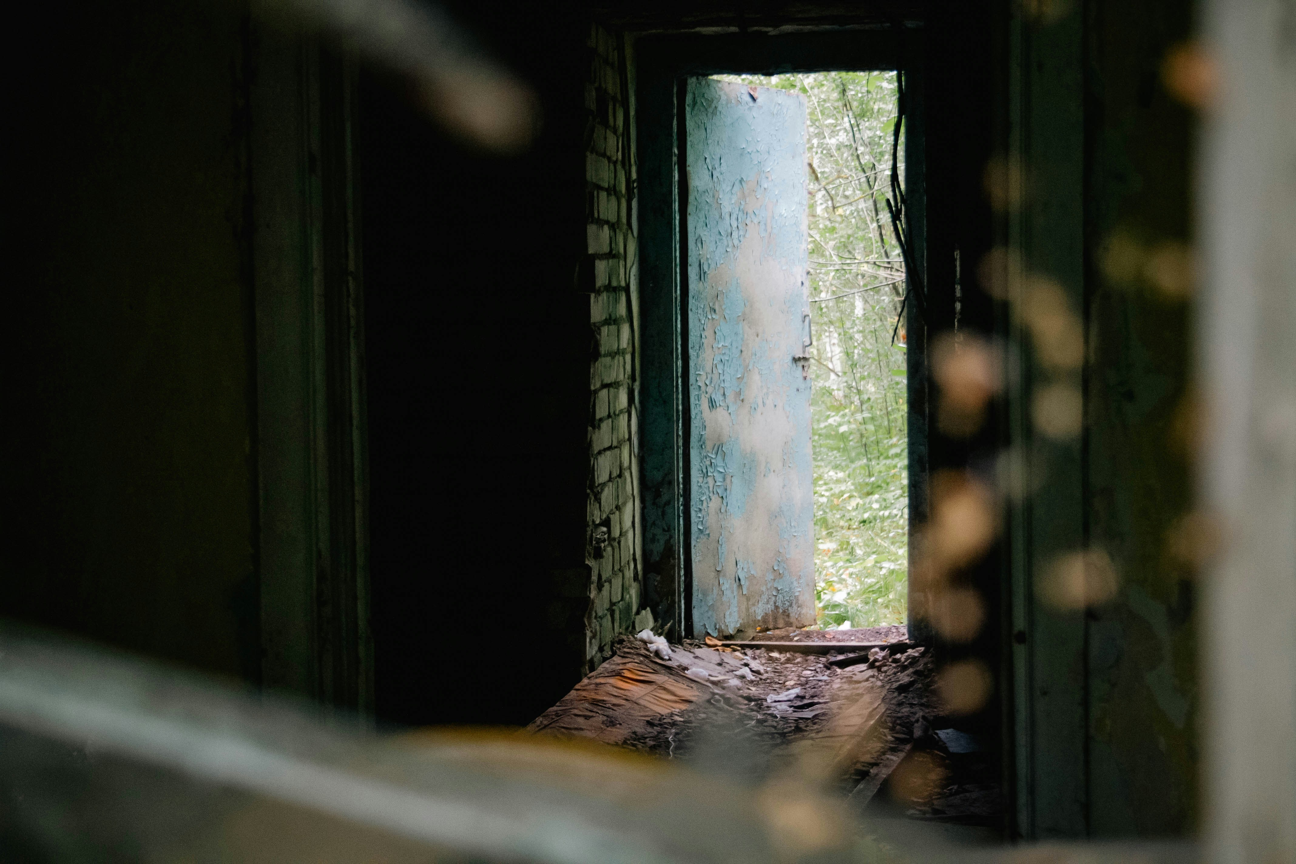 Eine Tür gibt den Blick auf ein helles Grün frei.