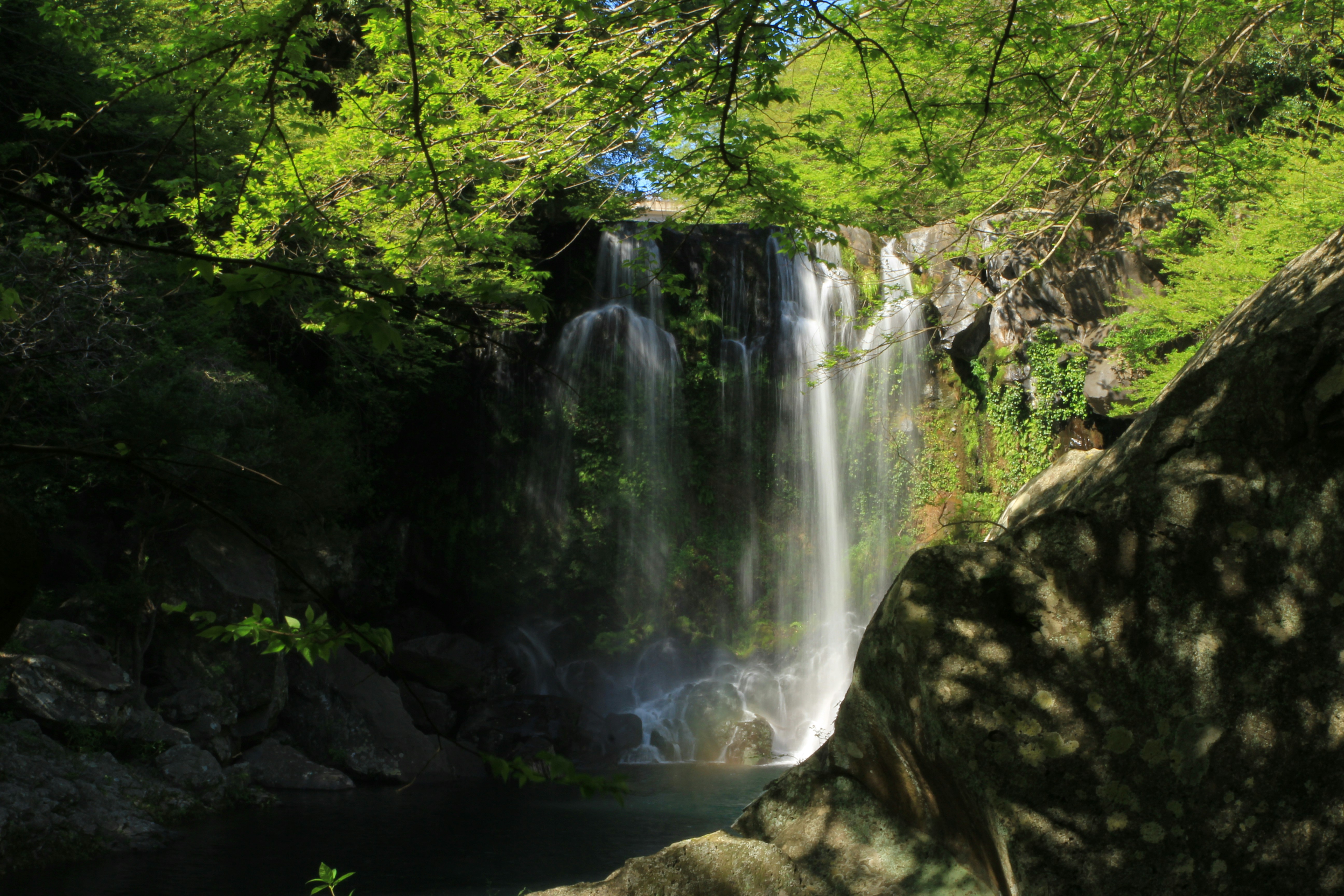 Photo by chocolate_milk_denmark