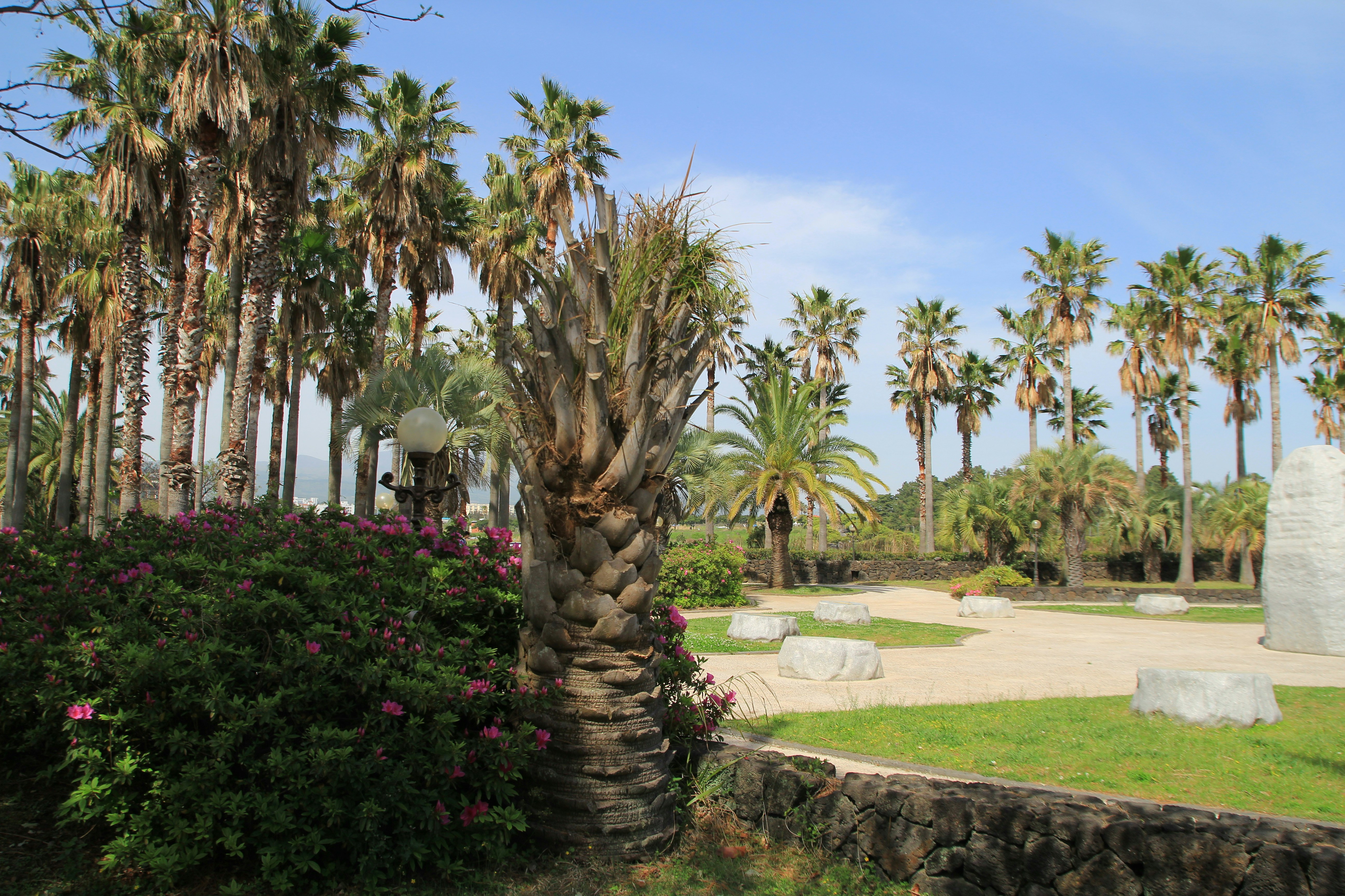 Photo by chocolate_milk_denmark