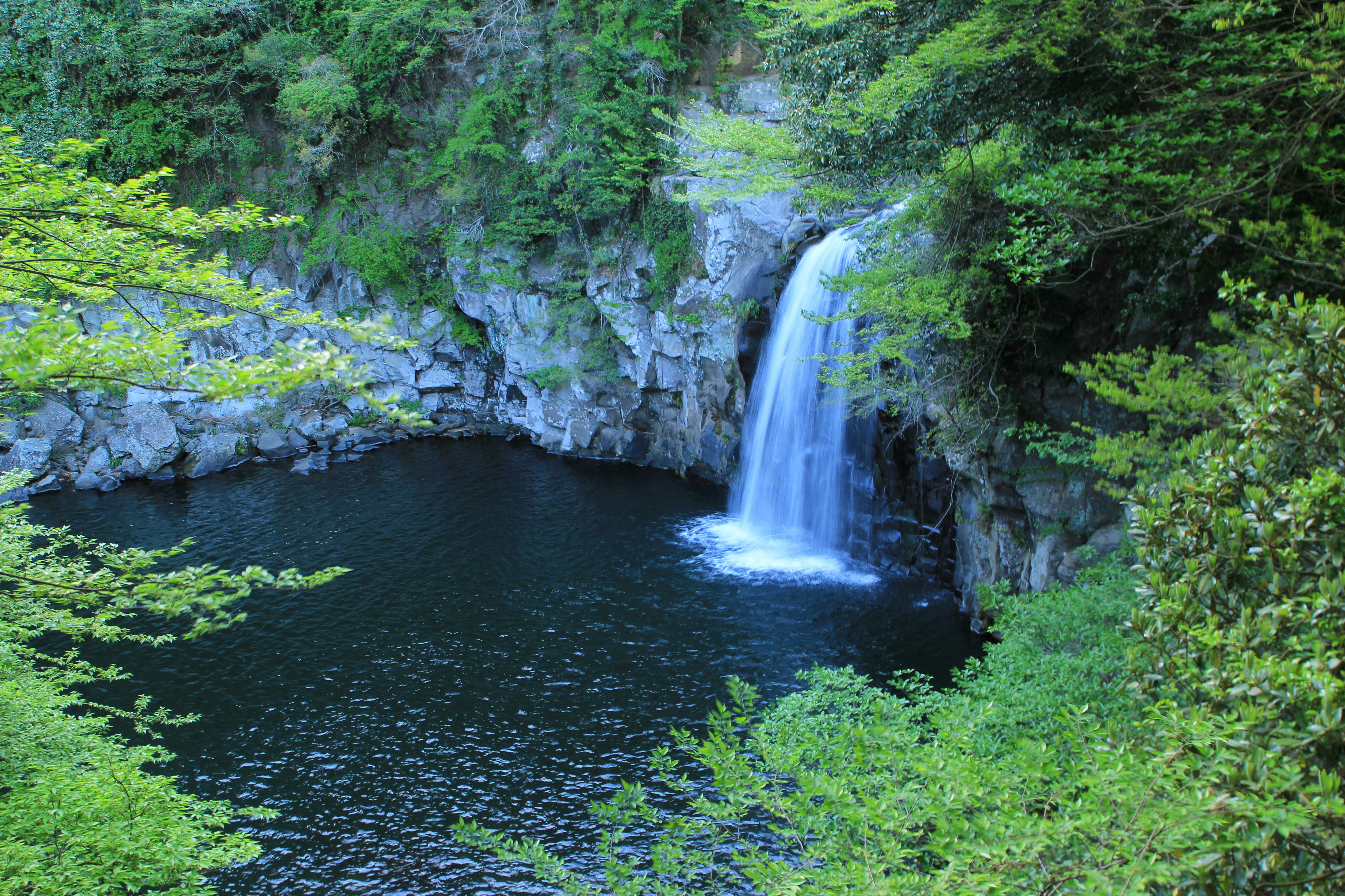 Photo by chocolate_milk_denmark