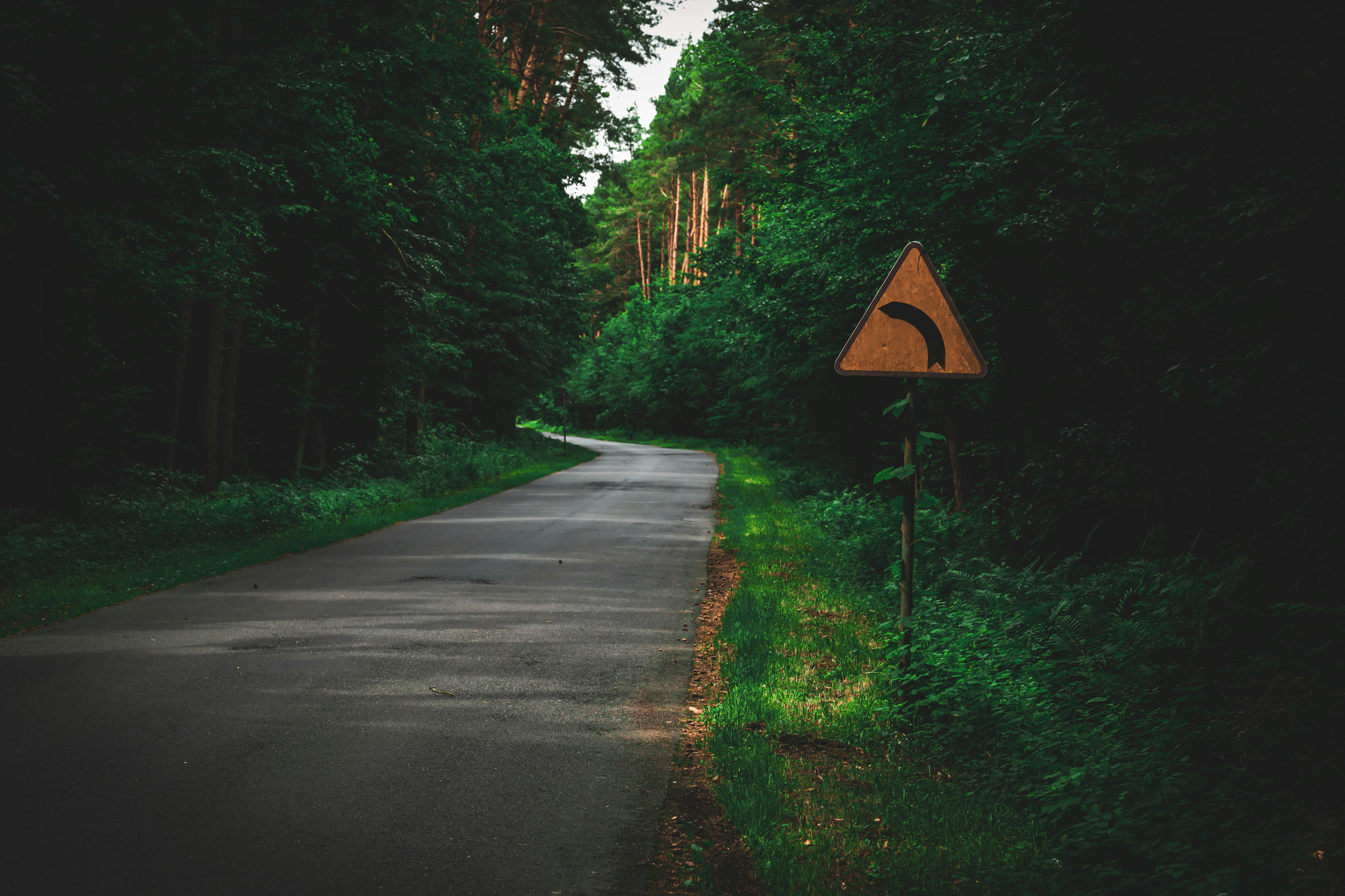 Highway 101 Trout Lake weather station operational - Coast Reporter, image size:3000x2000