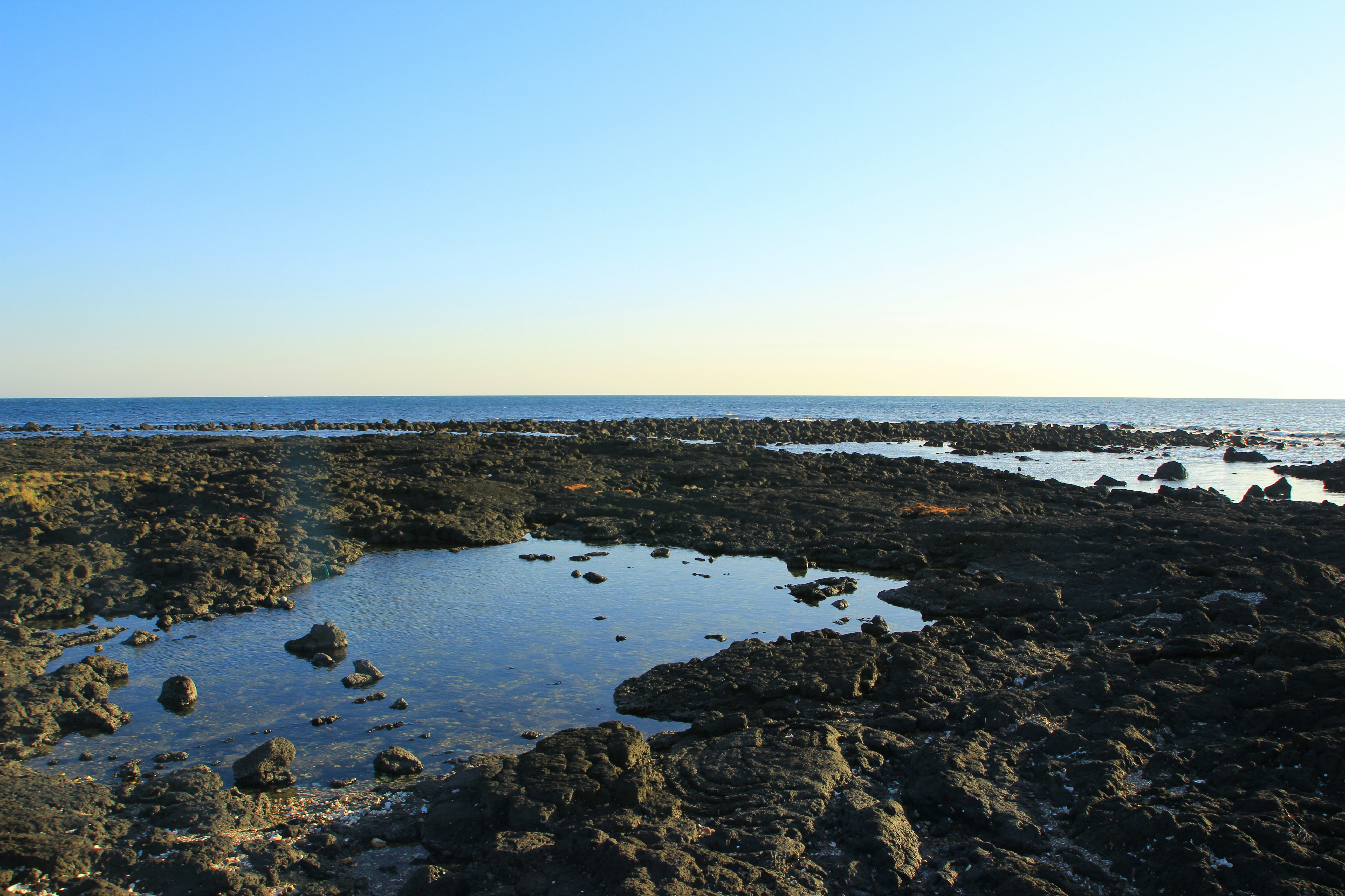 Photo by chocolate_milk_denmark