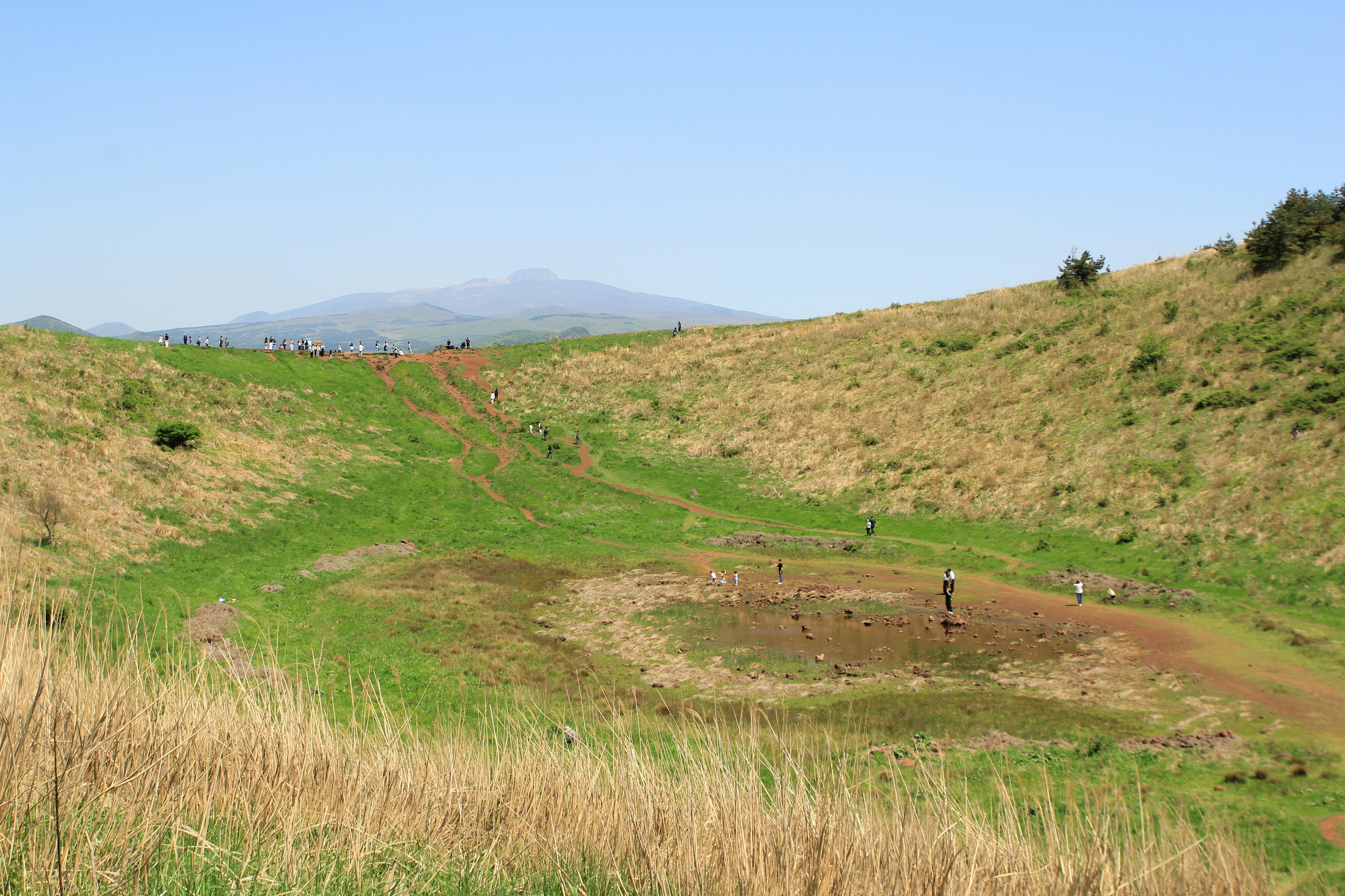 Freeman Ridge Bike Park