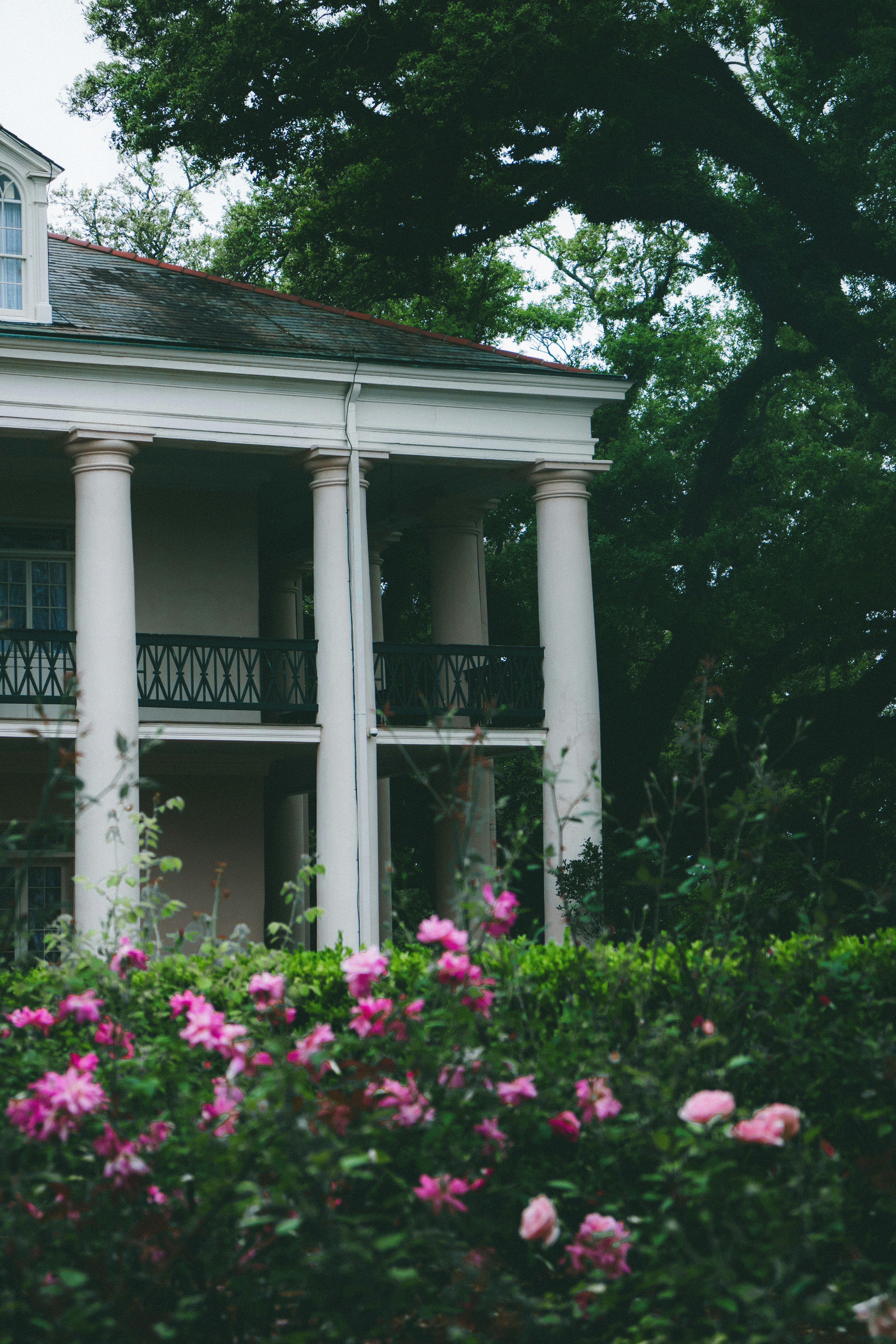 Photo by dhruvinpandya4