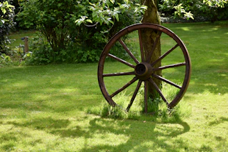 A wooden wheel leans against a tree in grass.