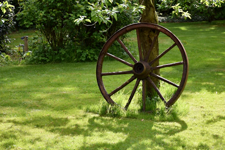 A wooden wheel leans against a tree in grass.
