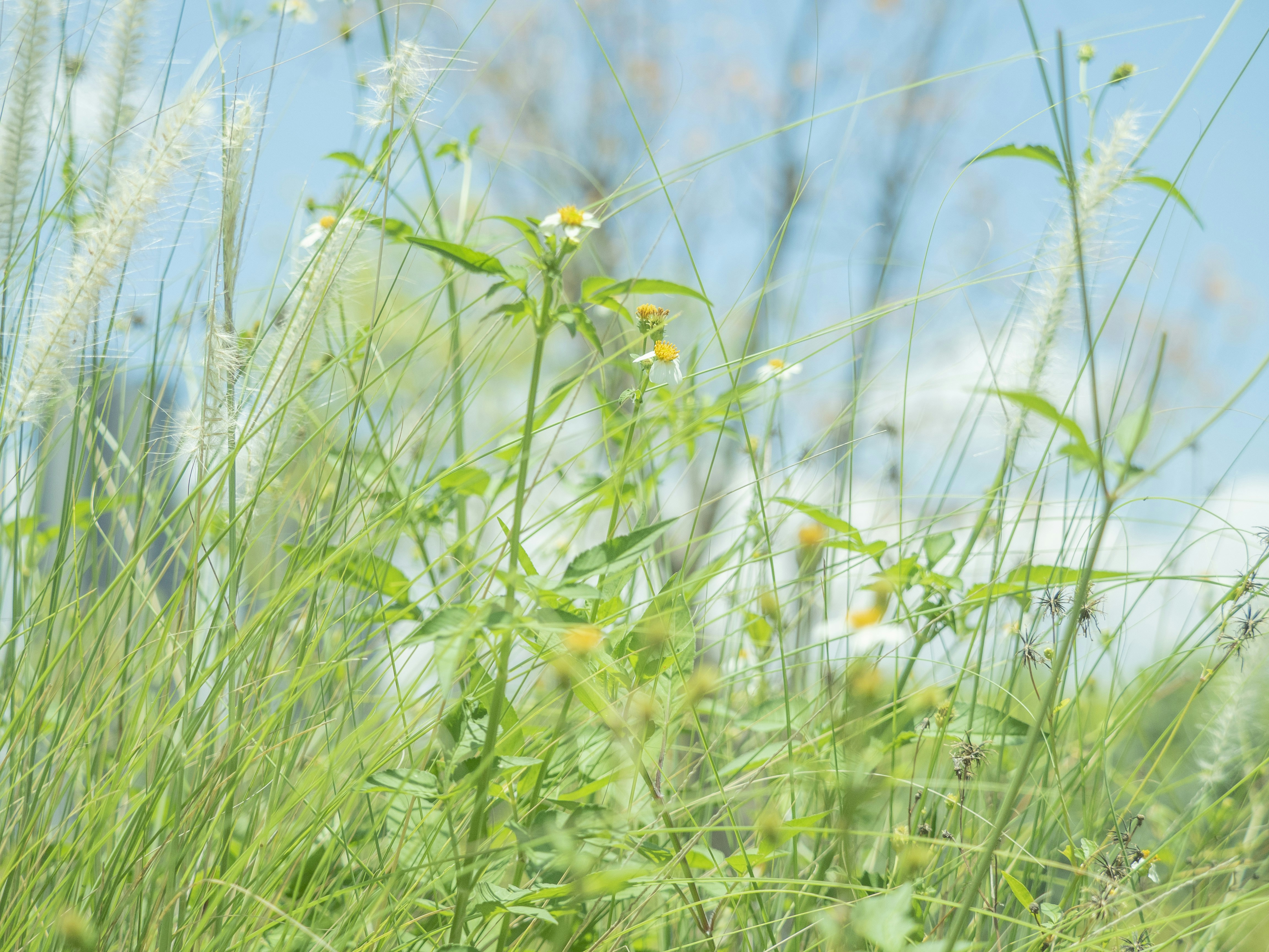 Photo by adonissmart