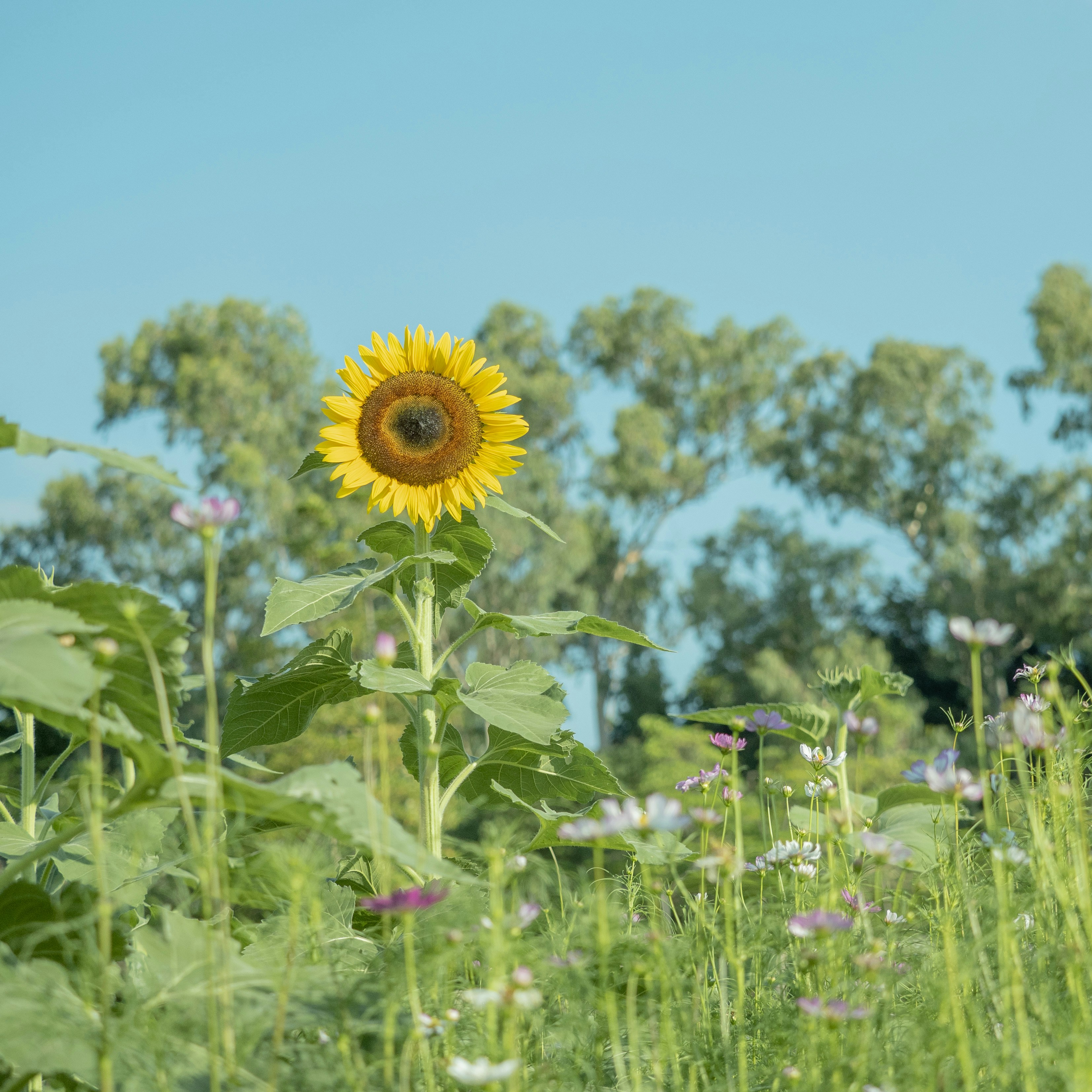 Photo by adonissmart