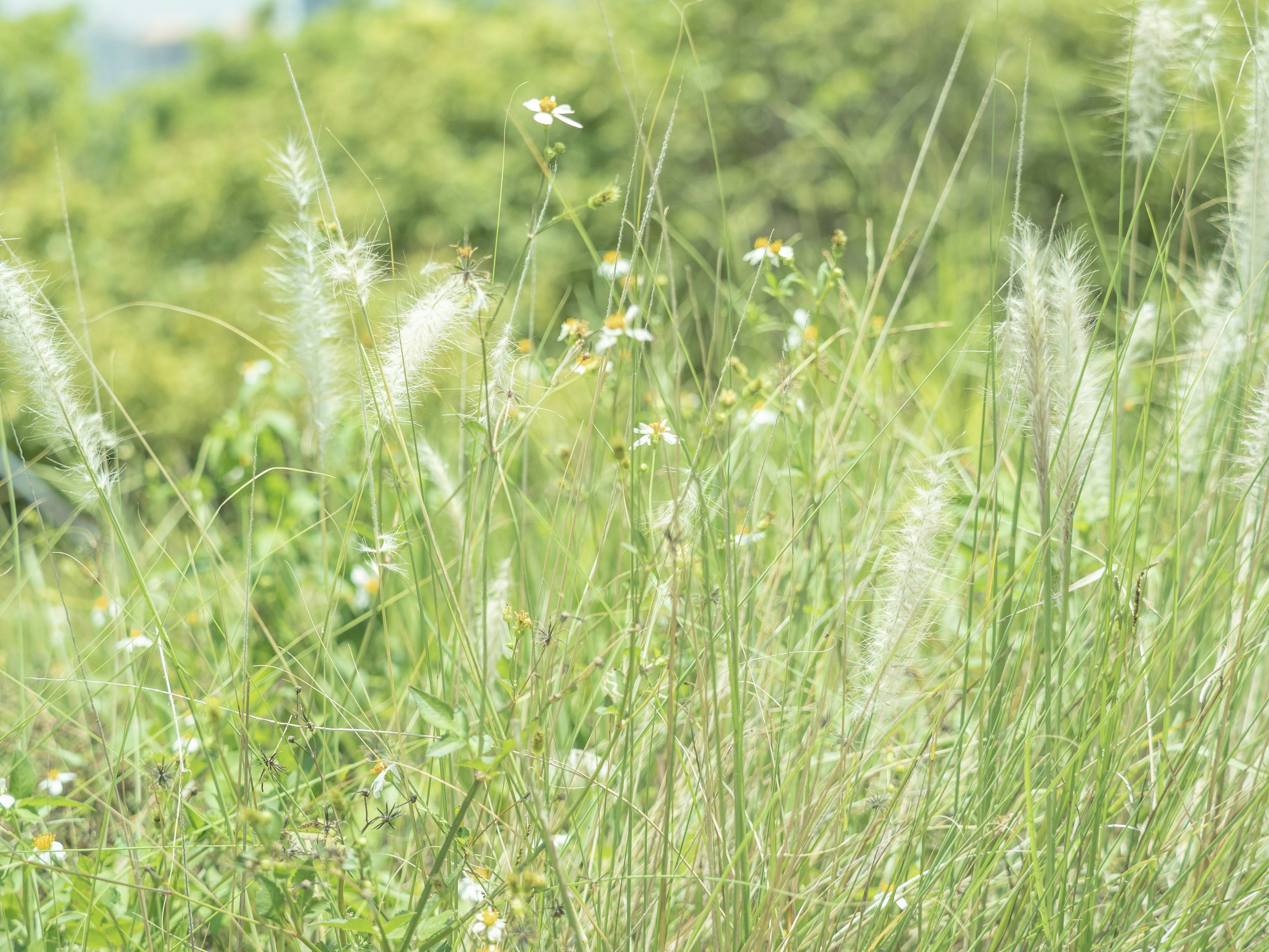 Photo by adonissmart