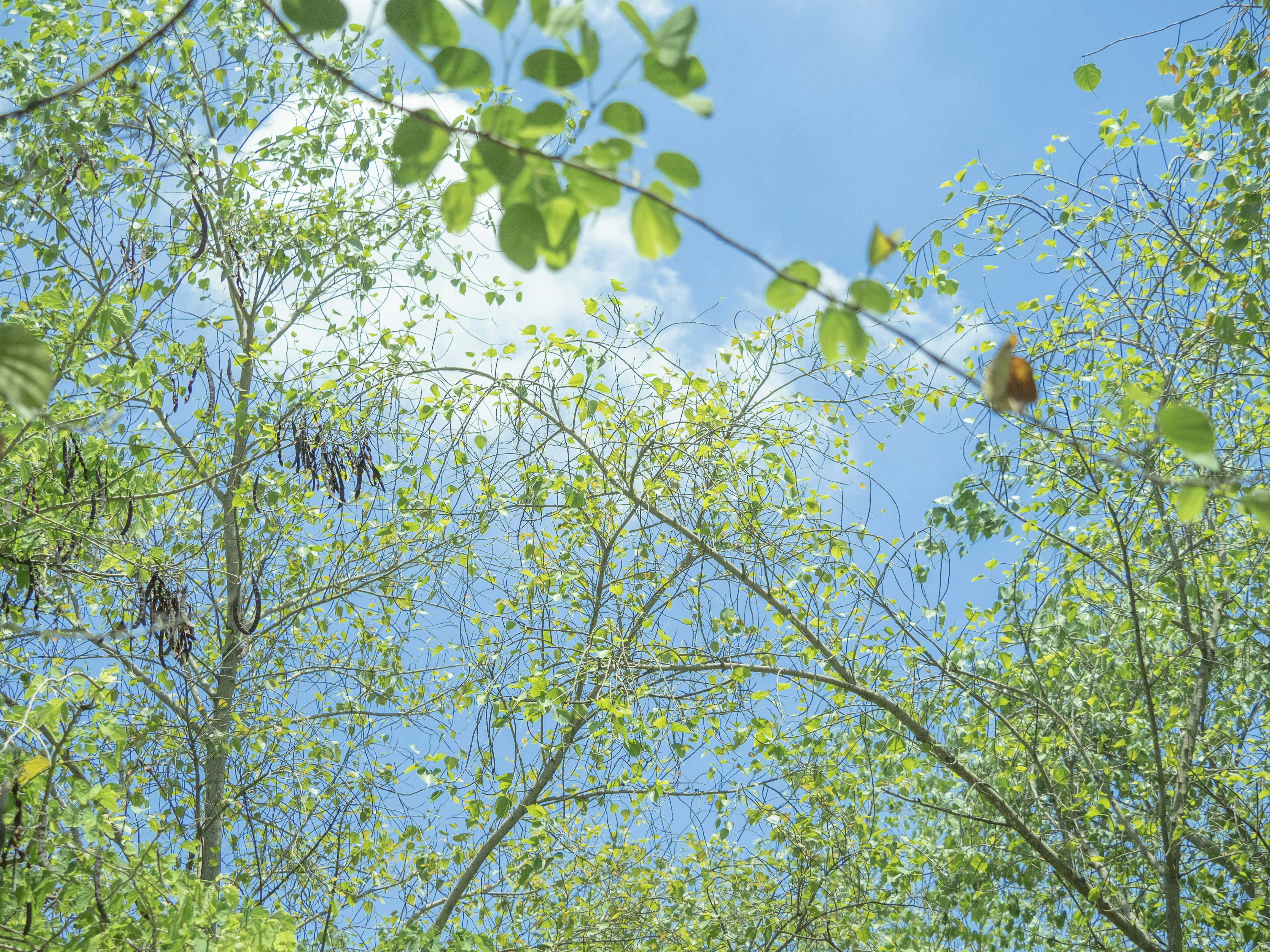 Photo by adonissmart