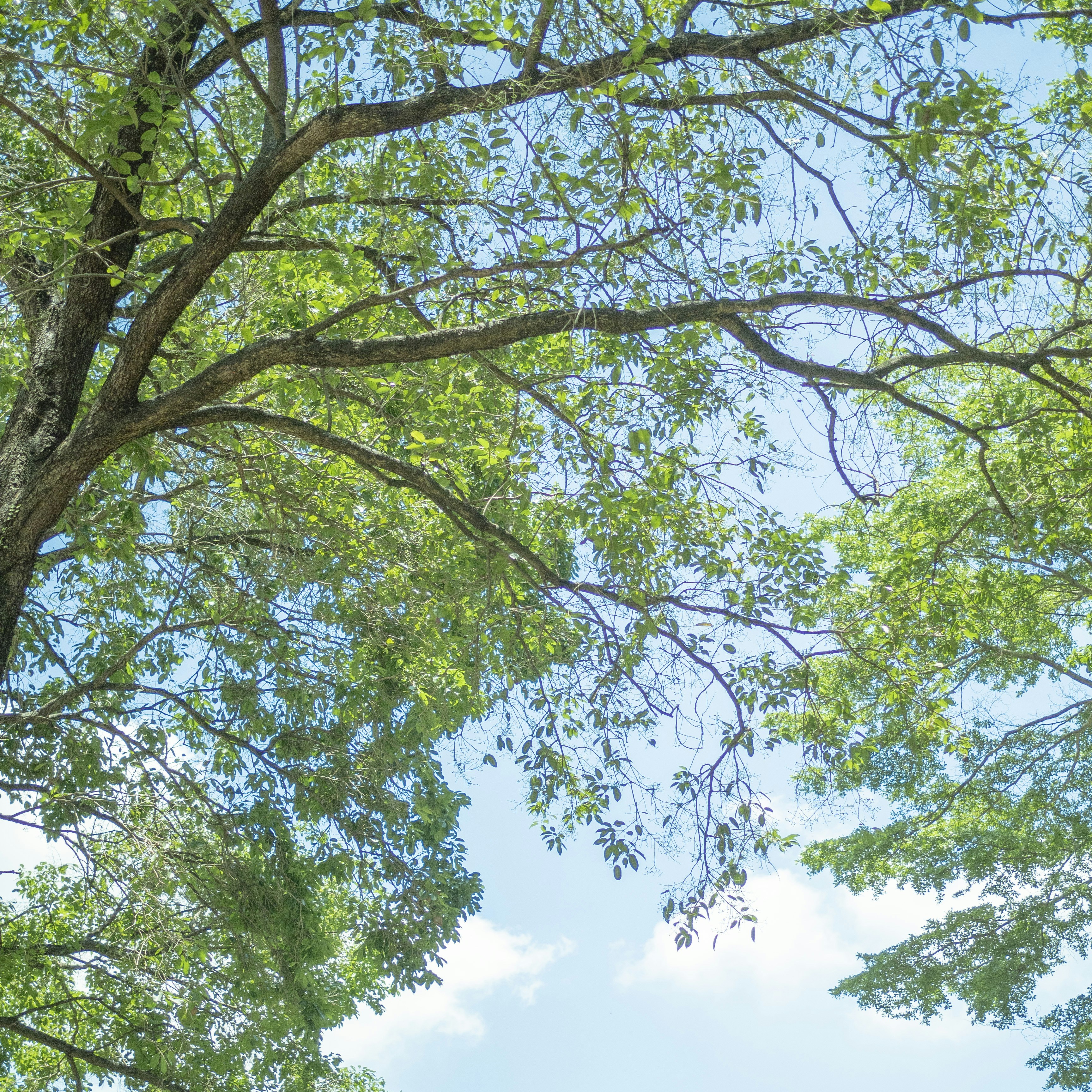 Photo by adonissmart