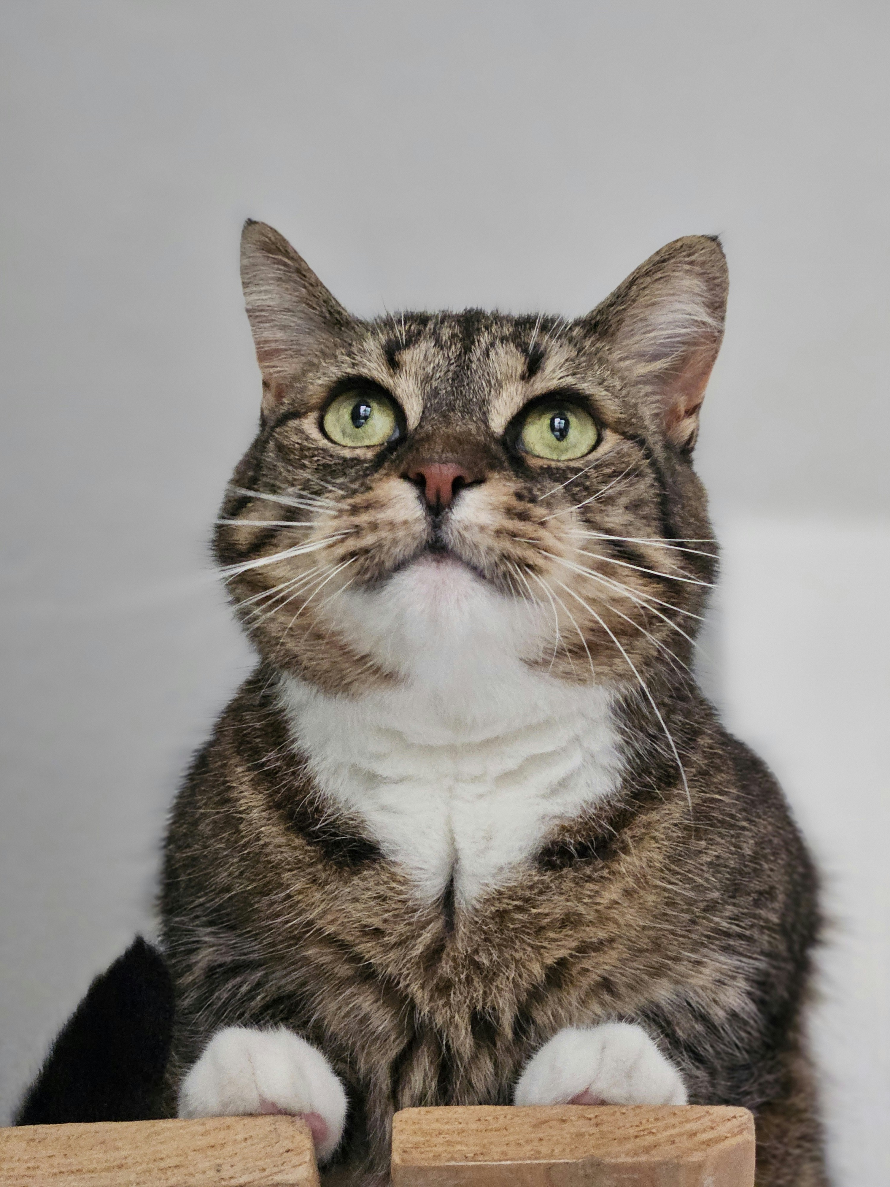 Photo by marjorylucabaxter