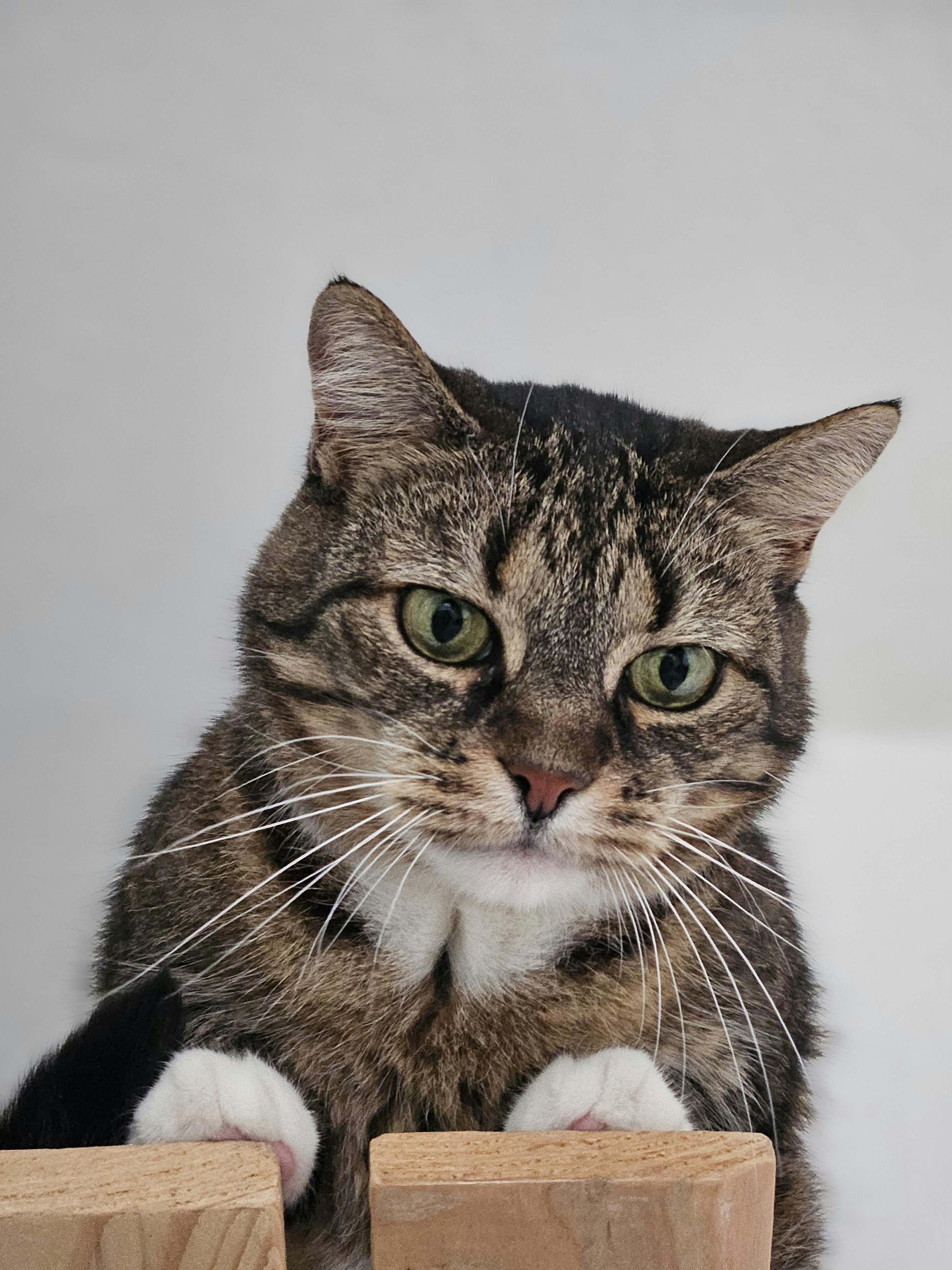 Photo by marjorylucabaxter