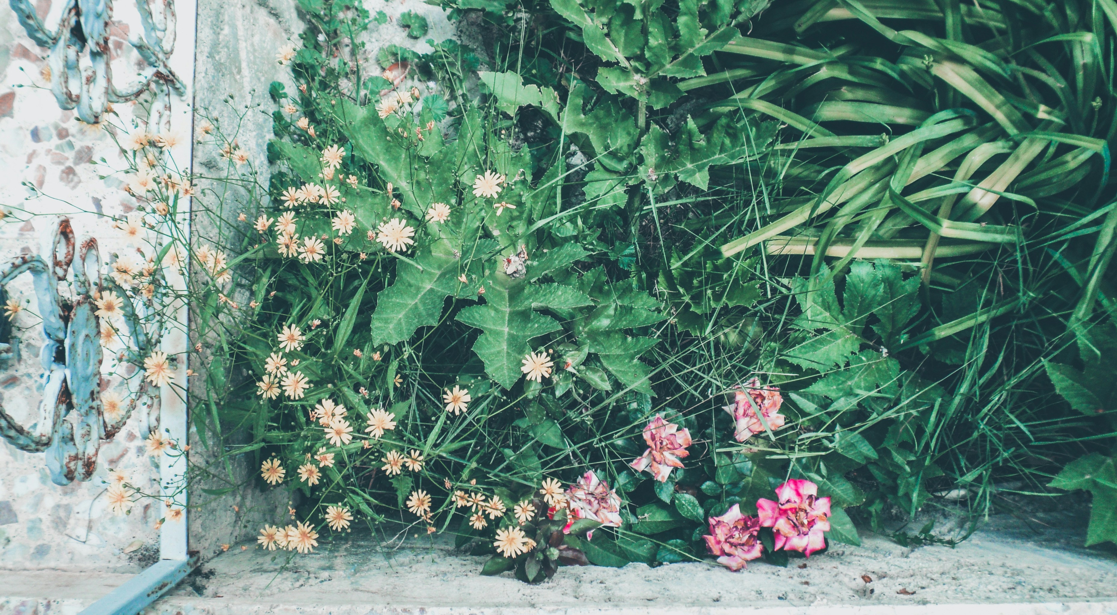 How Small Retailers Can Shield Margins from USD Volatility (2026 Playbook)