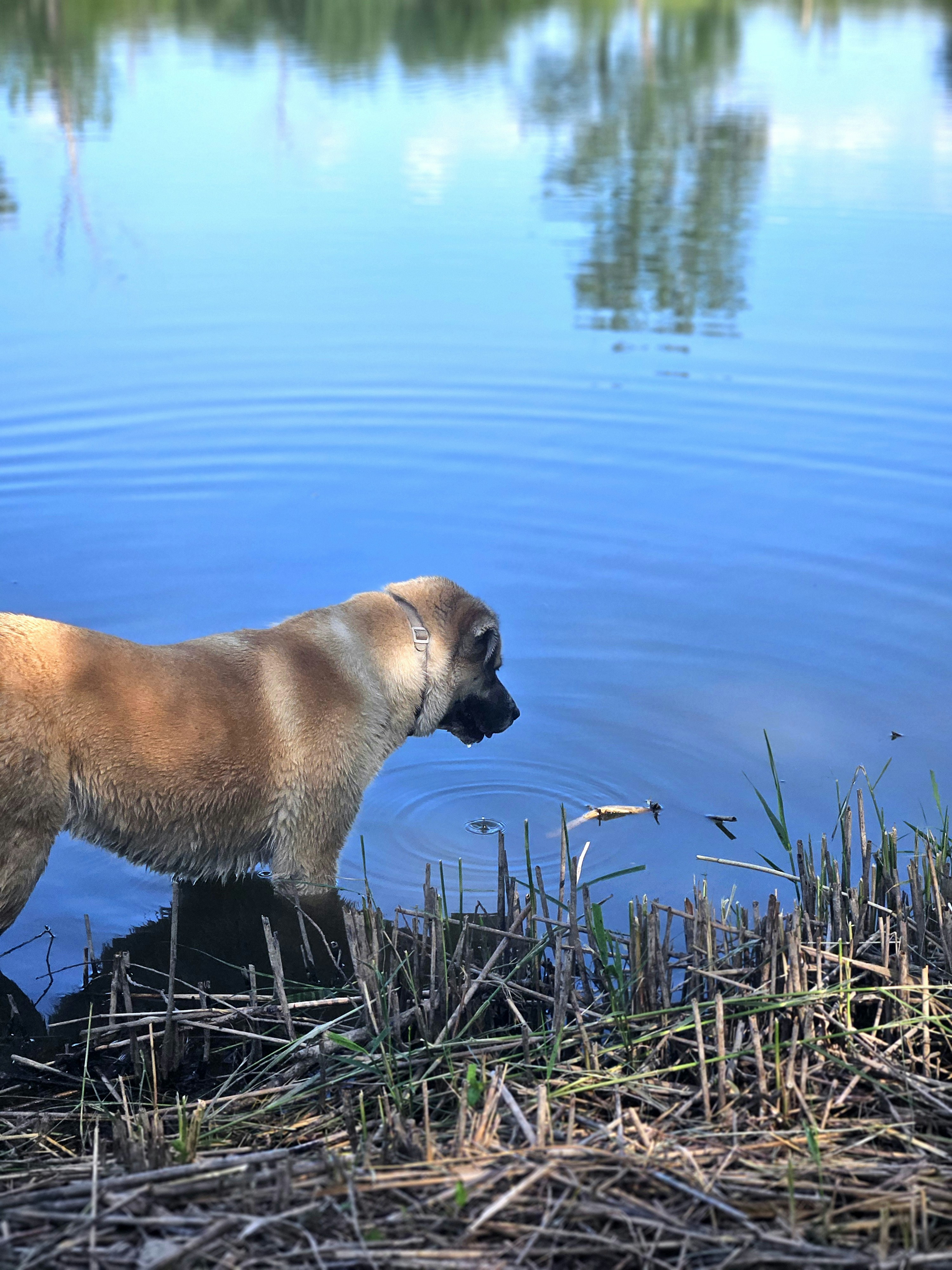 Photo by marjorylucabaxter