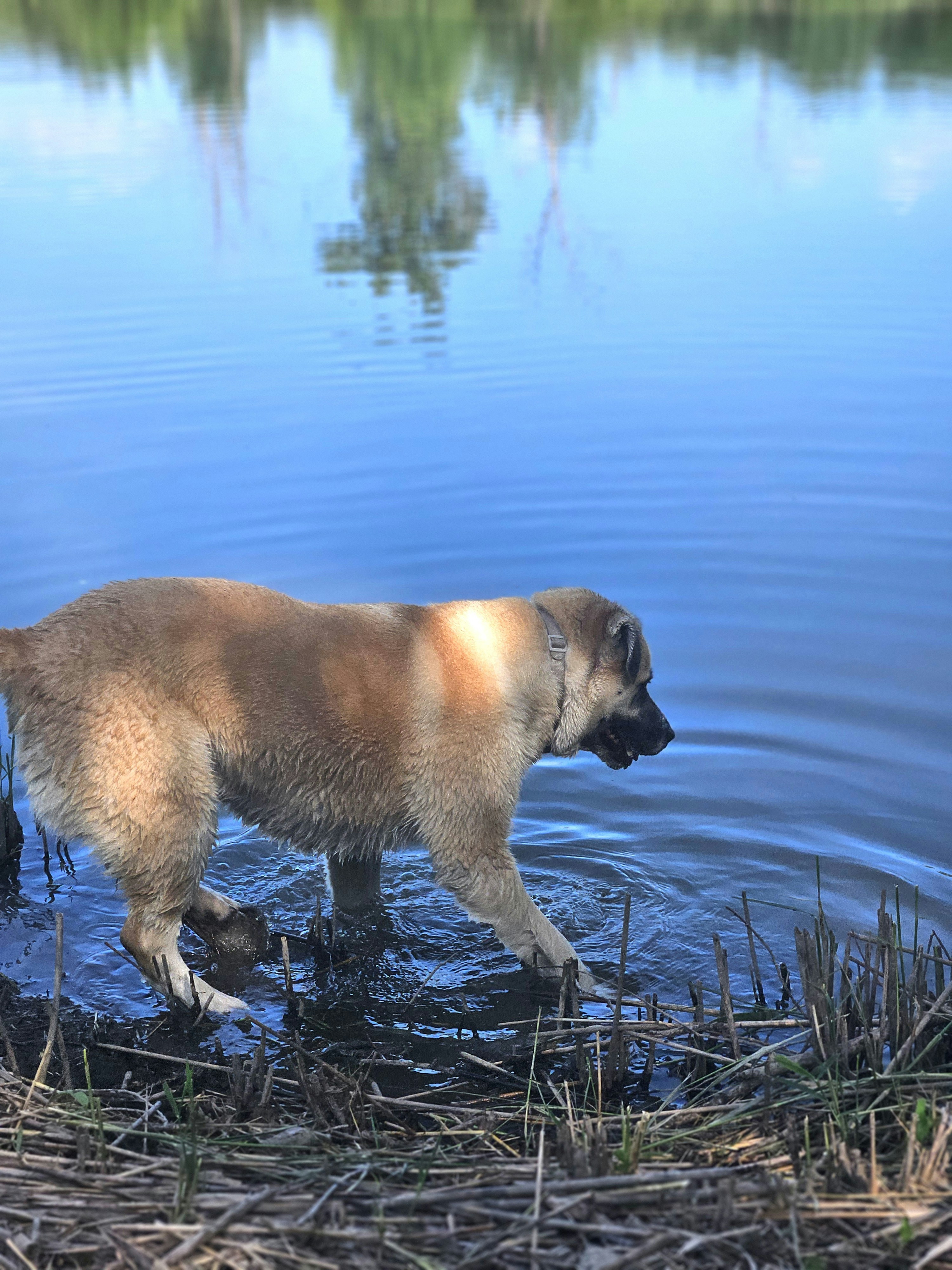 Photo by marjorylucabaxter