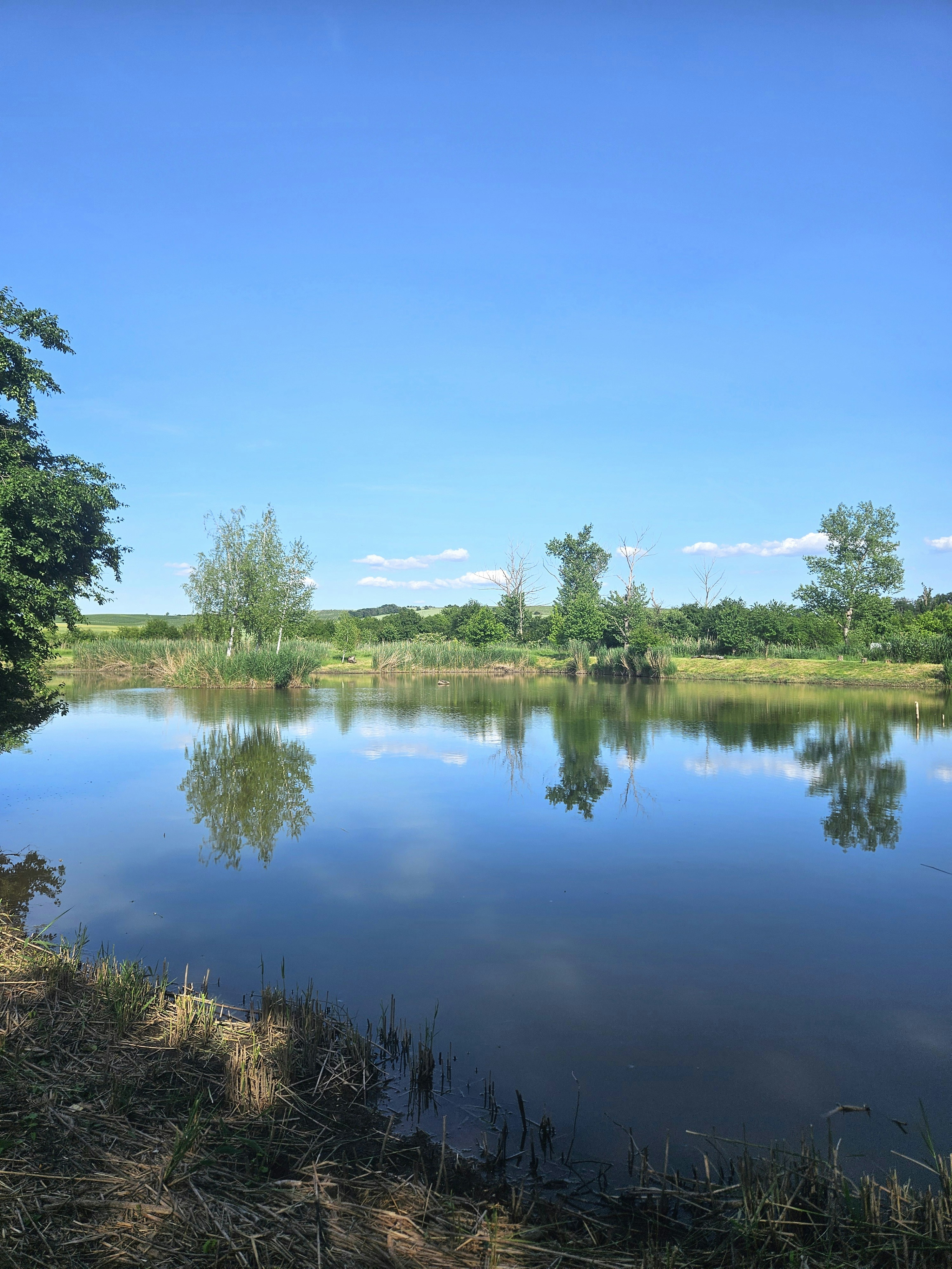 Photo by marjorylucabaxter