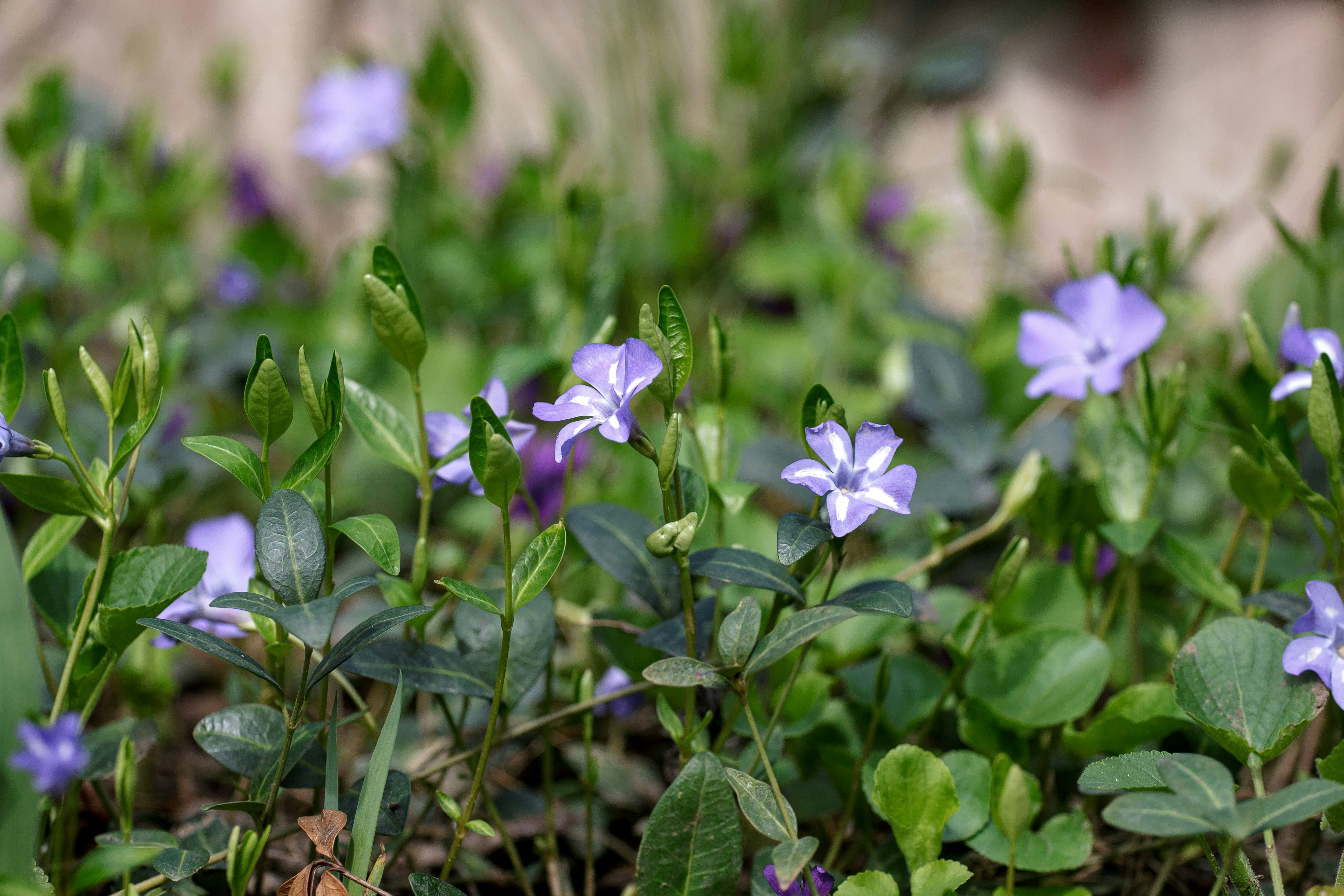 Photo by malygos6000