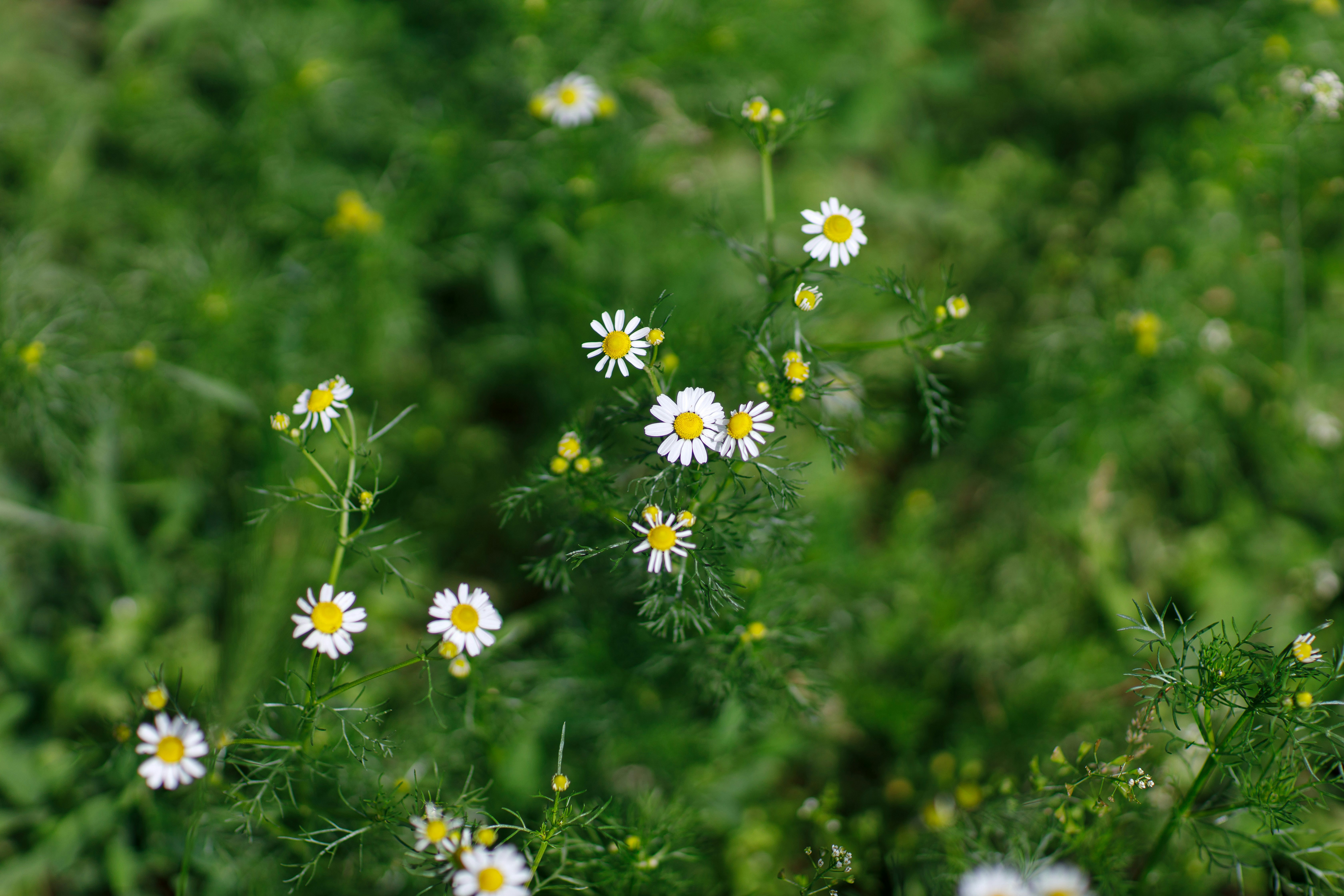 Photo by malygos6000