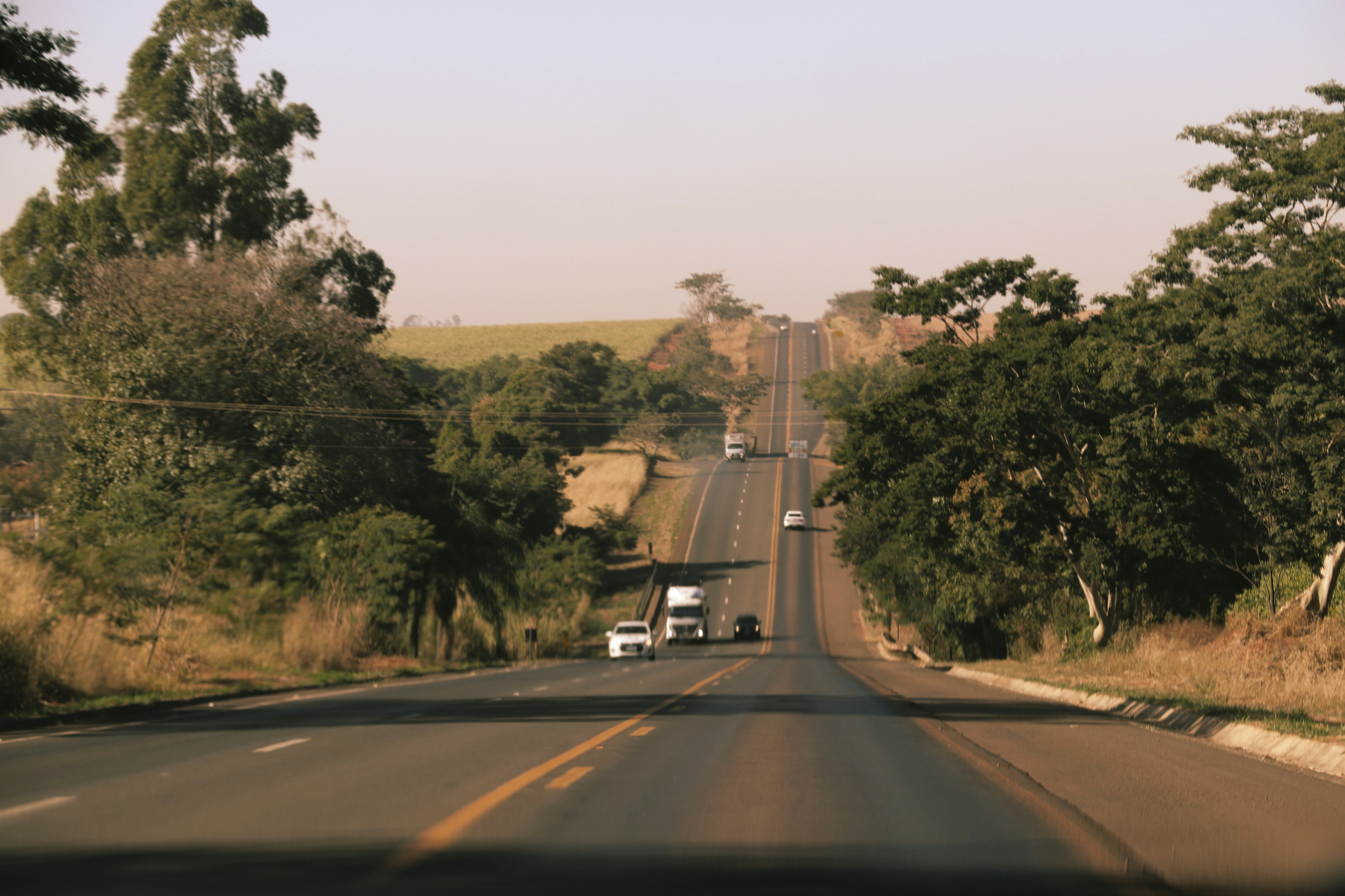 long open road winds through the countryside in Brazil, lined with trees and farmland. A serene and warm-toned image evoking freedom and road trip adventures.