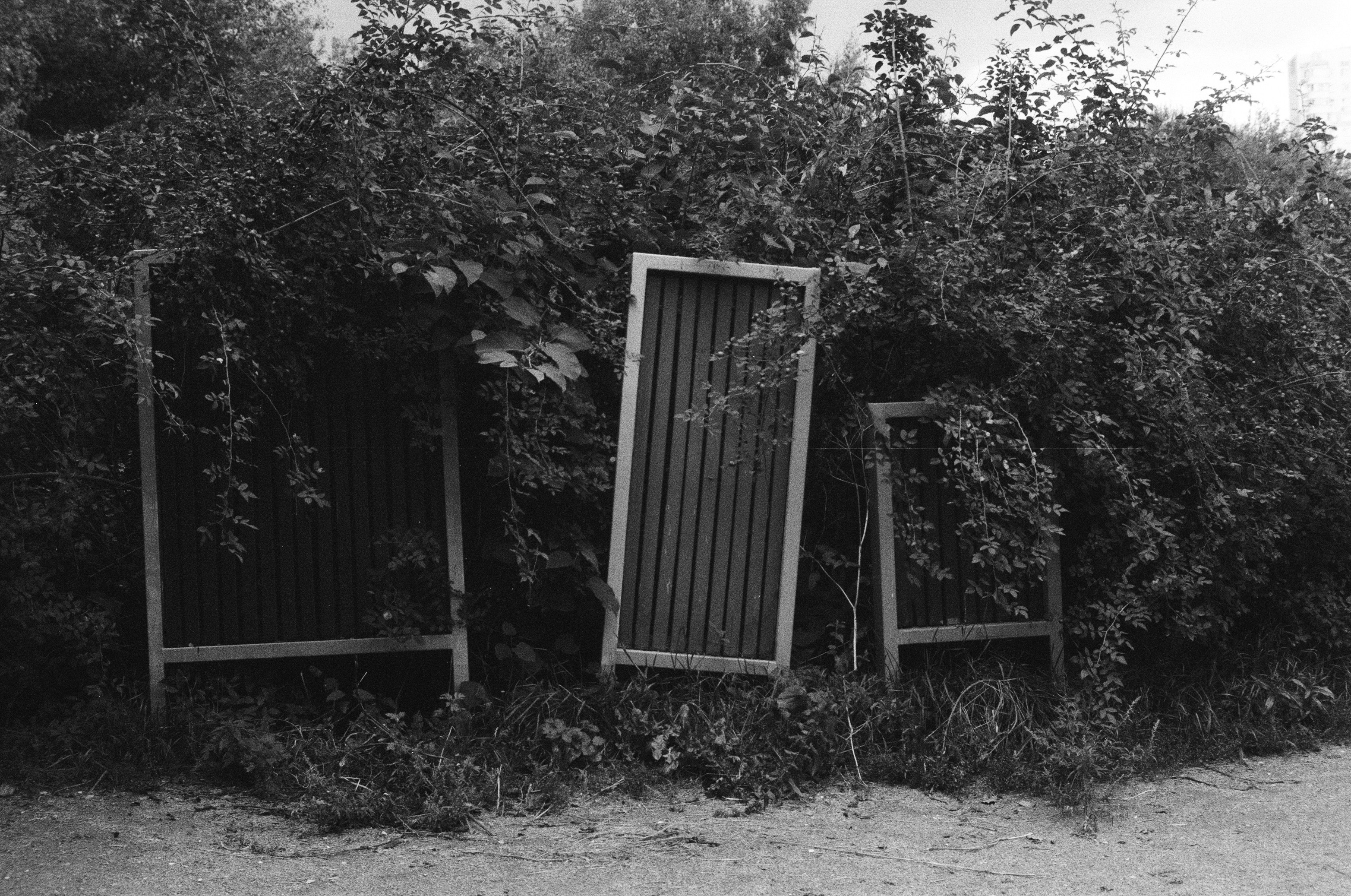 Photo by stasvishnevetsky