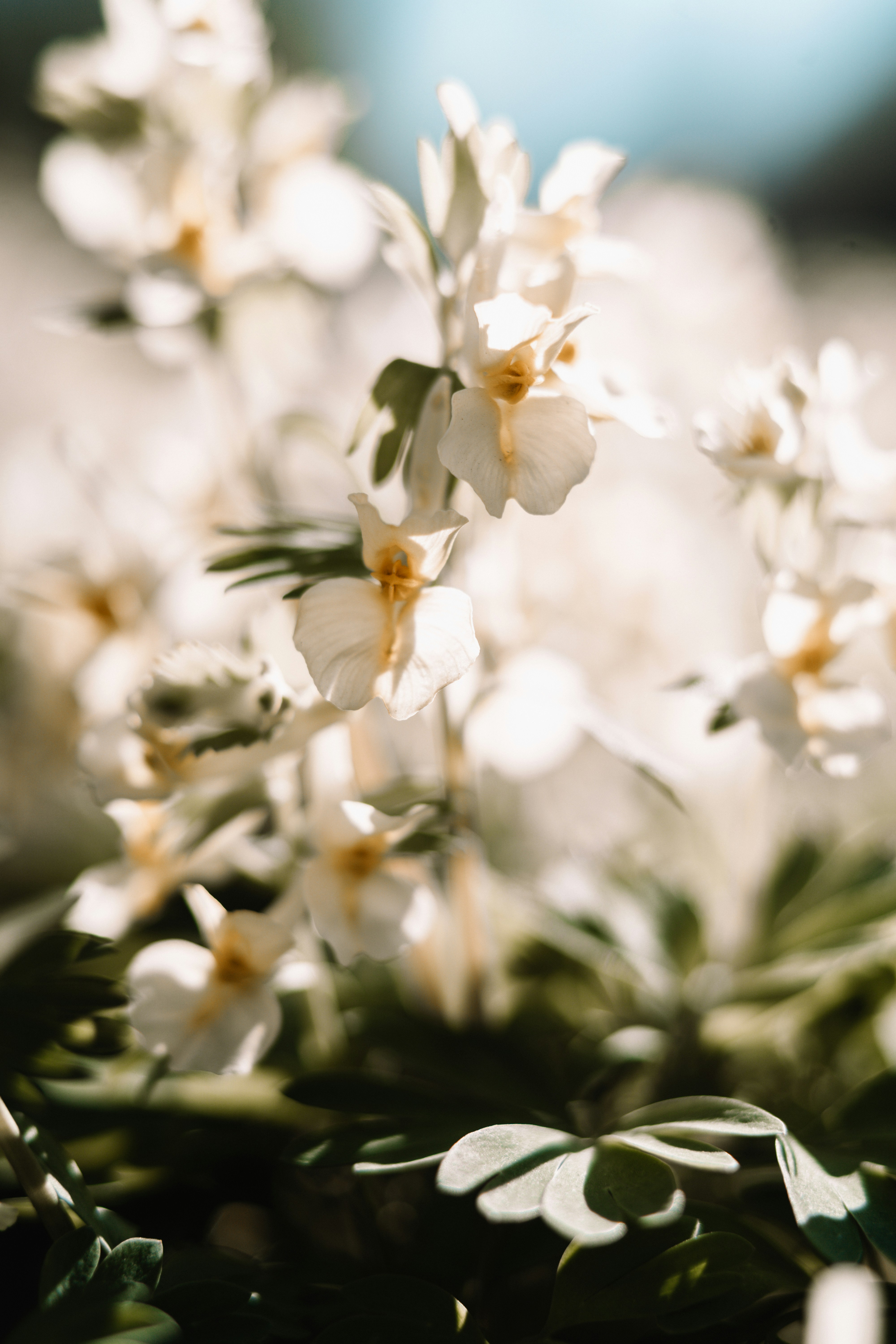 Photo by anamnesis33