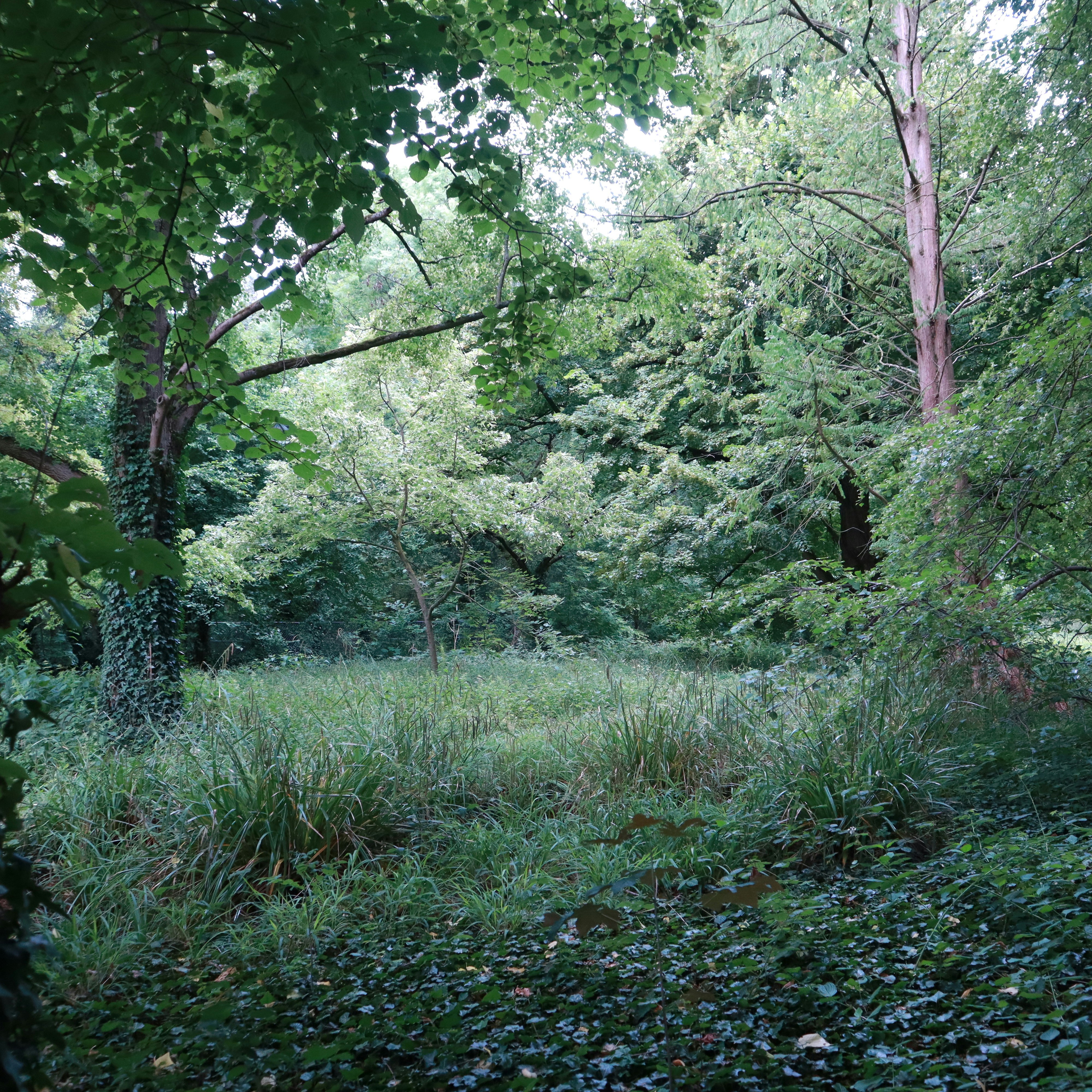 Photo by everydayparis